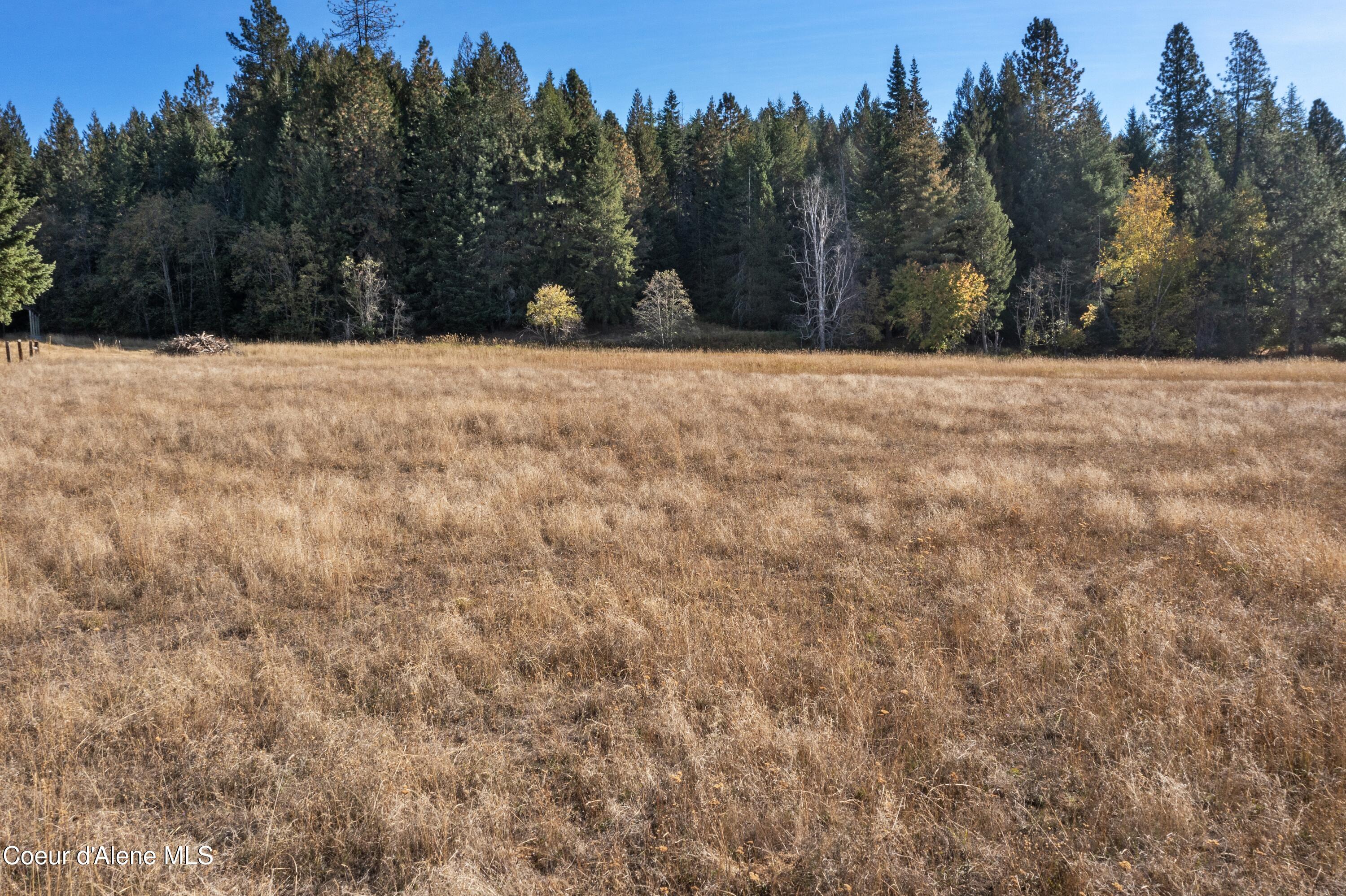 2376 Little Blacktail Rd