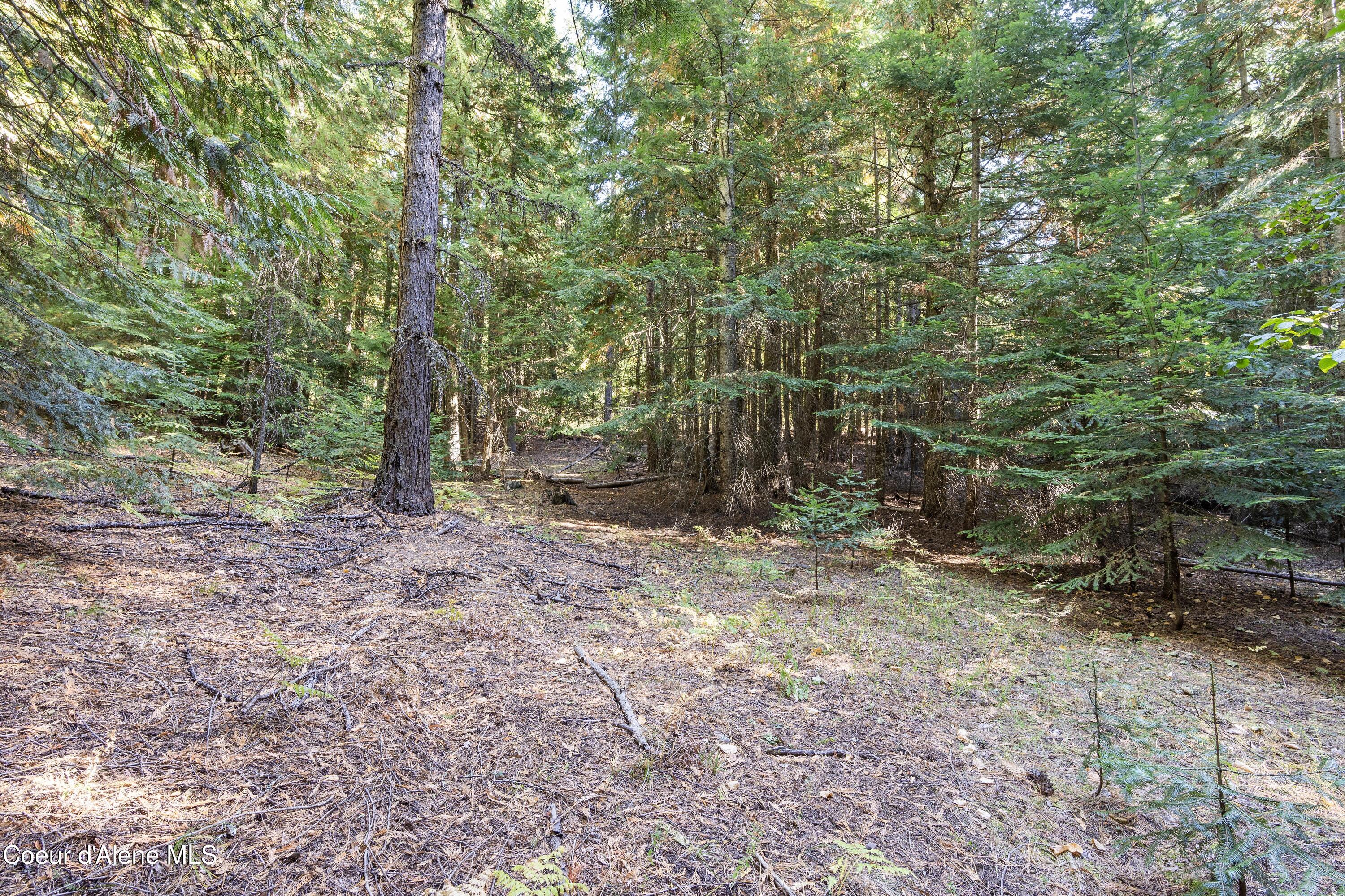 2376 Little Blacktail Rd