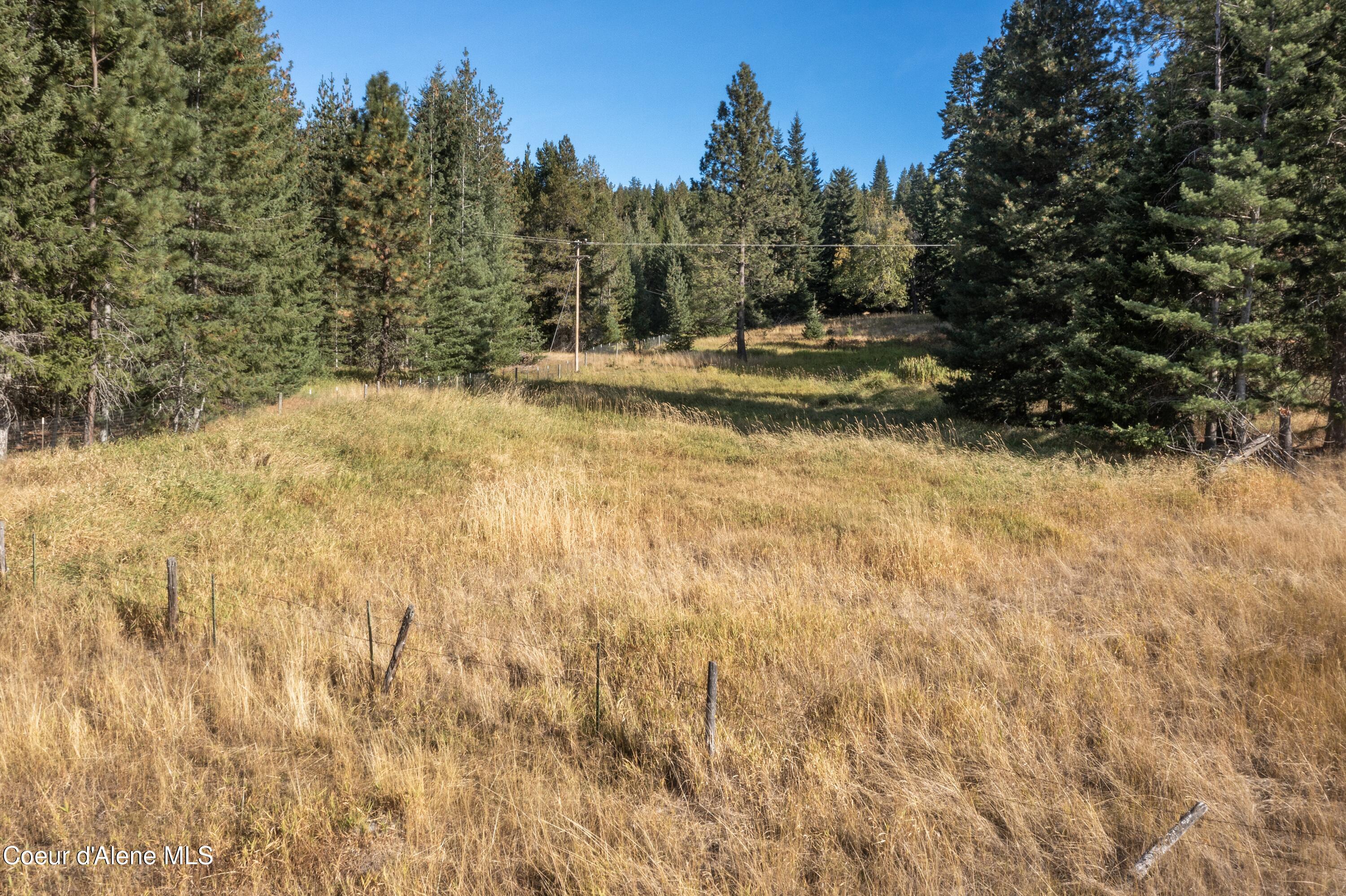2376 Little Blacktail Rd