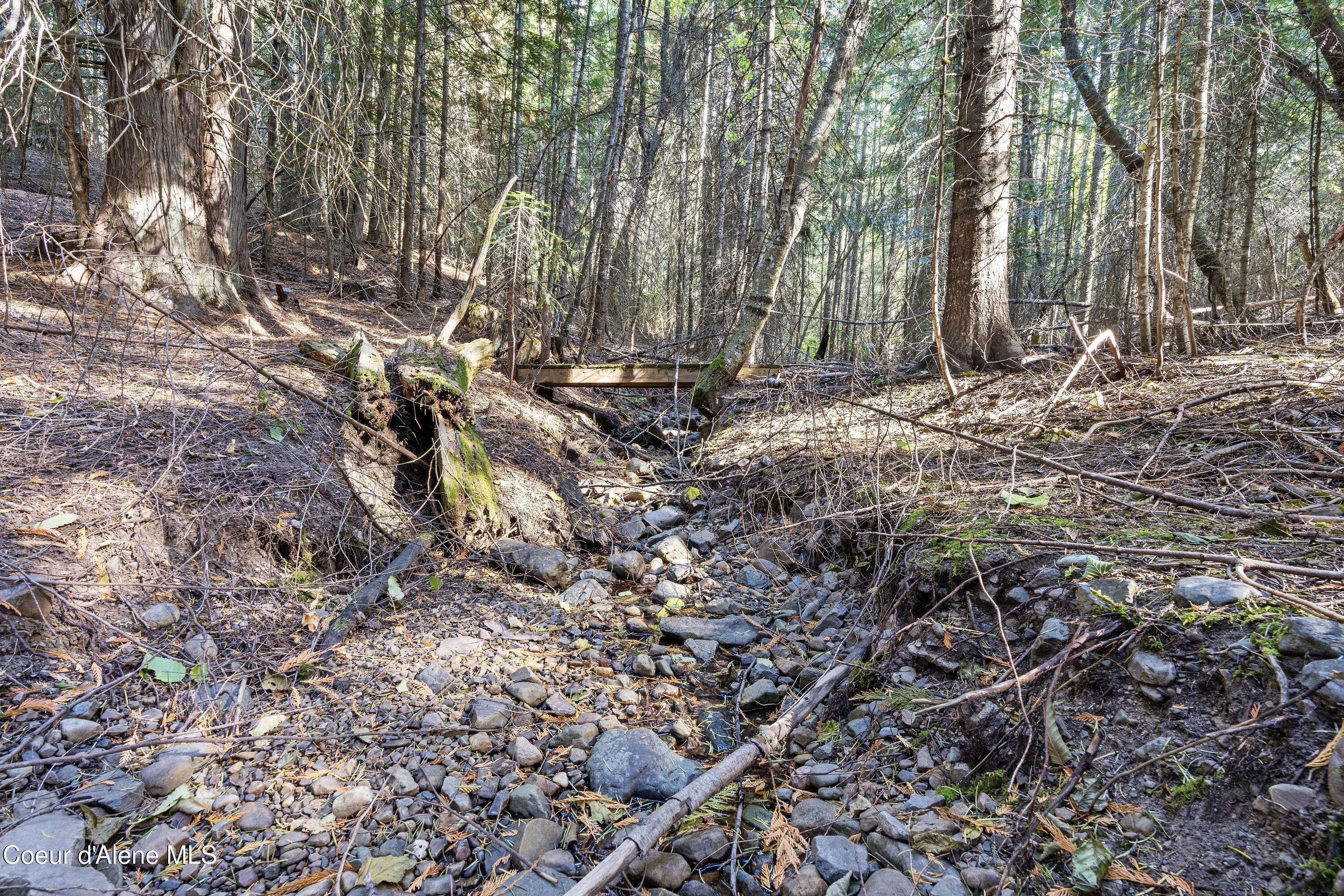 2376 Little Blacktail Rd