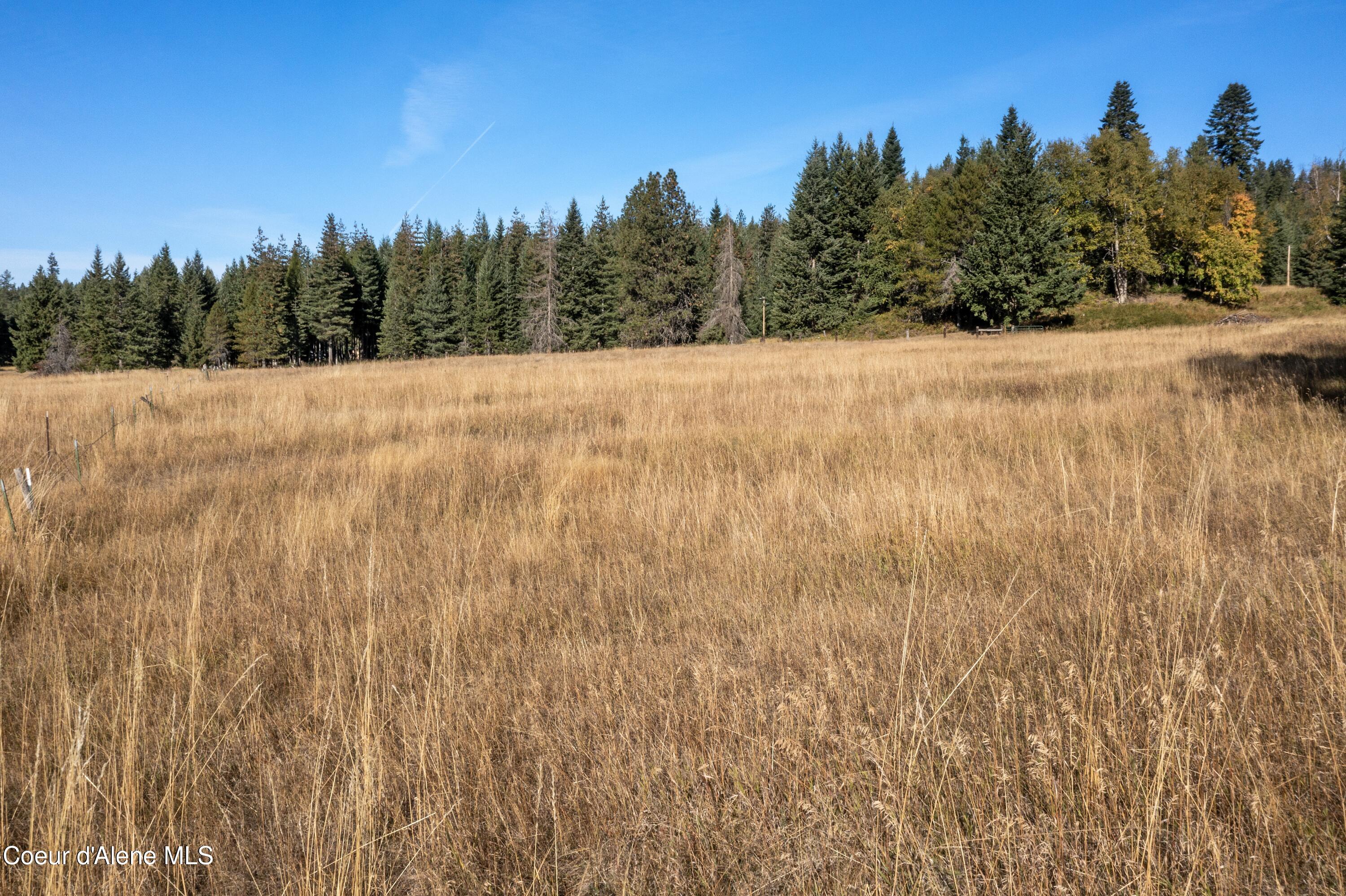 2376 Little Blacktail Rd