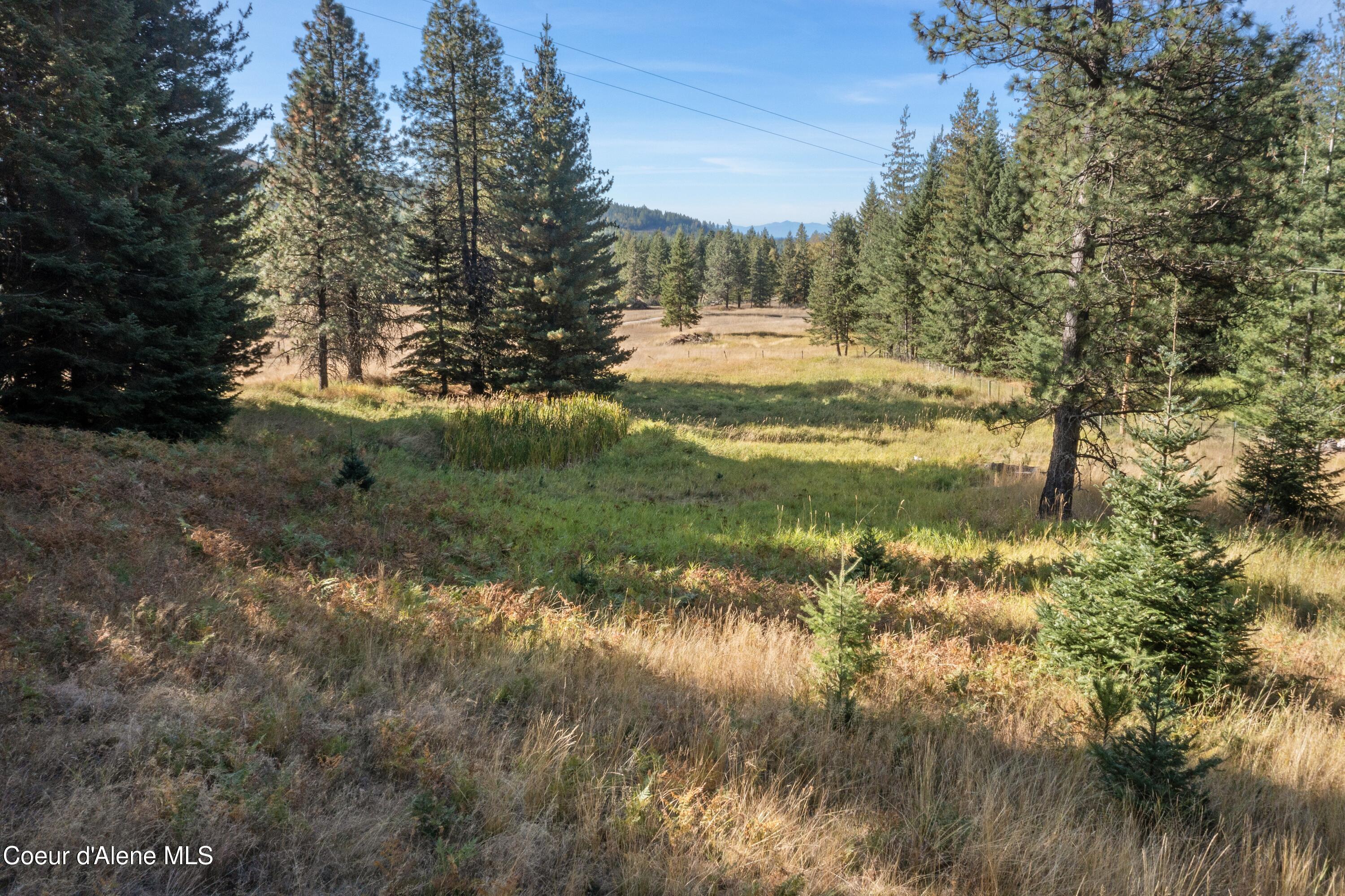 2376 Little Blacktail Rd