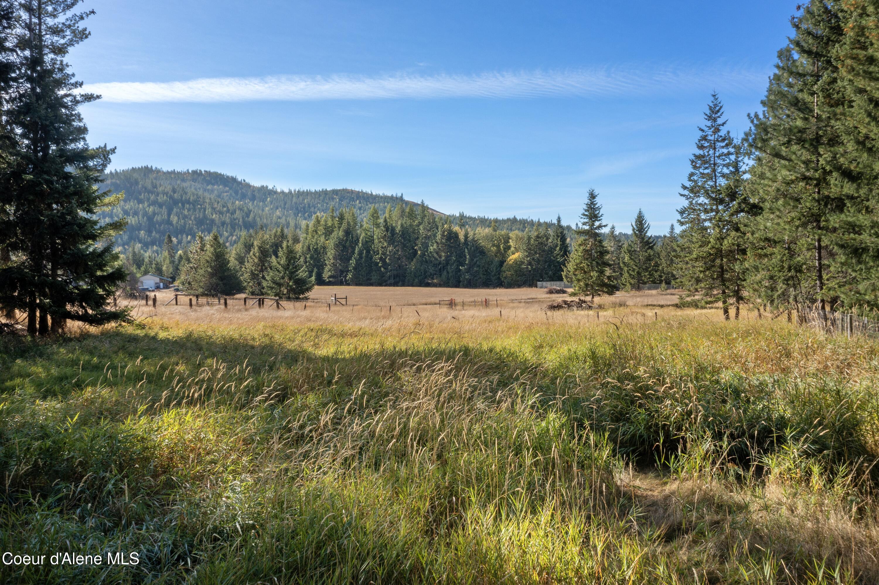 2376 Little Blacktail Rd