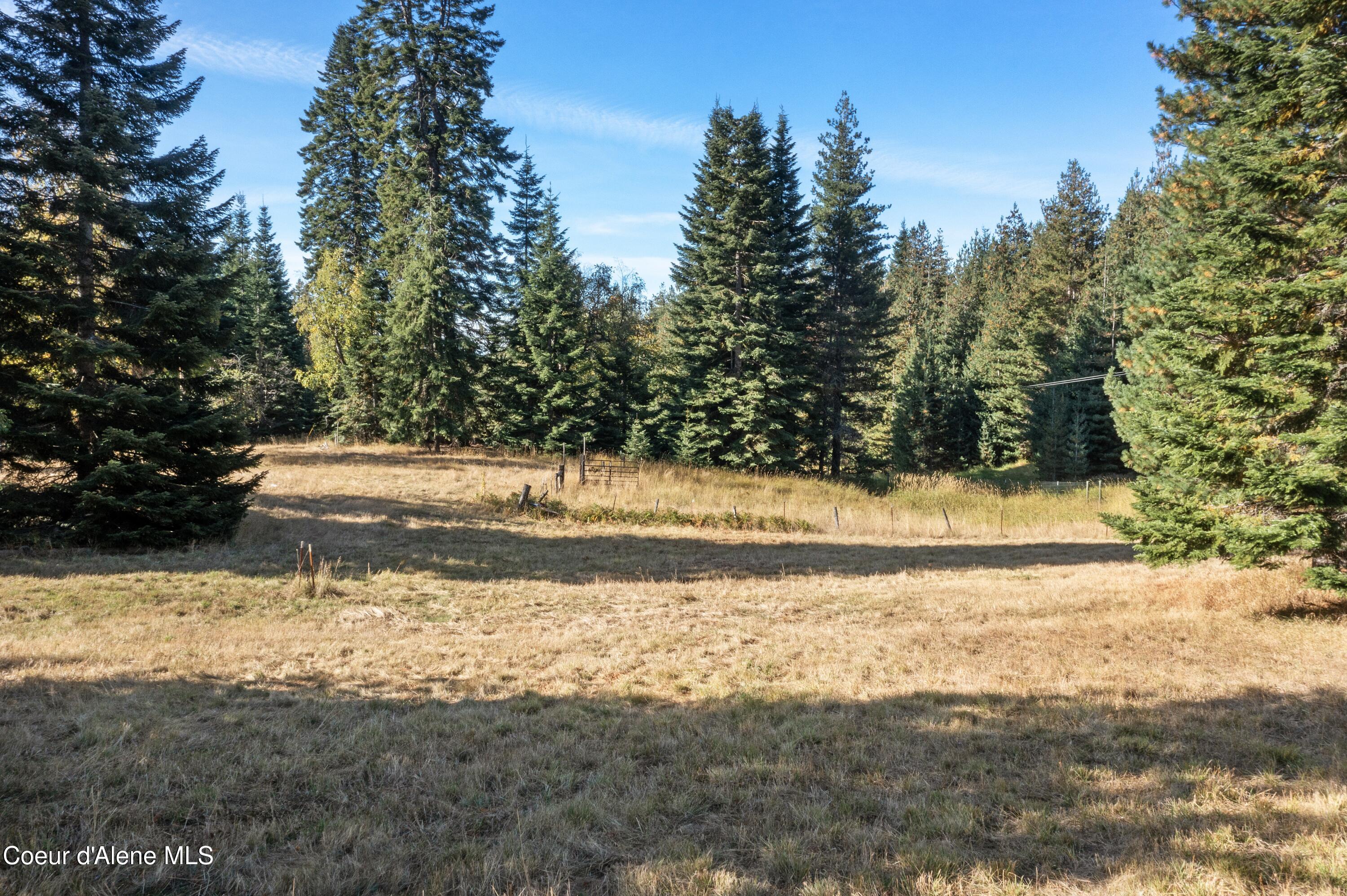 2376 Little Blacktail Rd