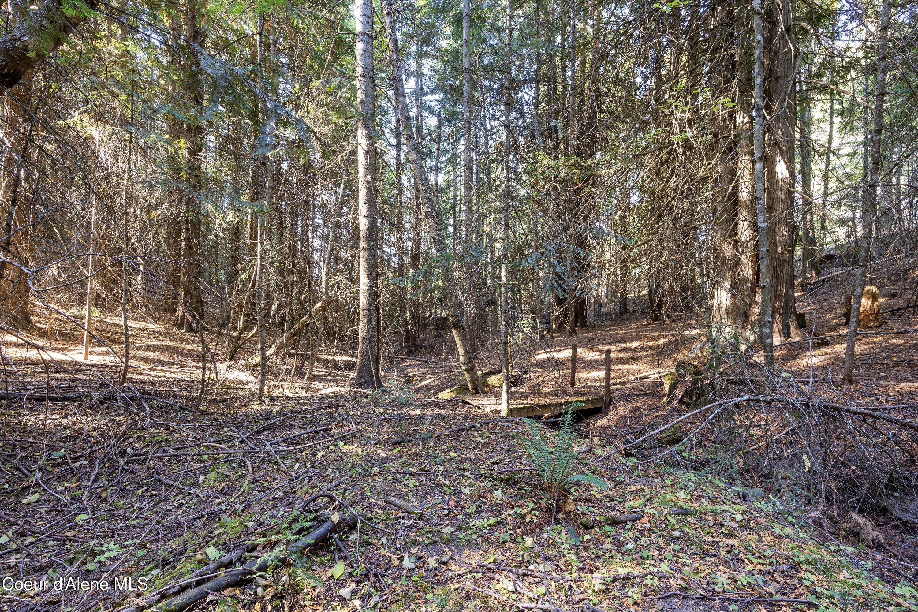 2376 Little Blacktail Rd