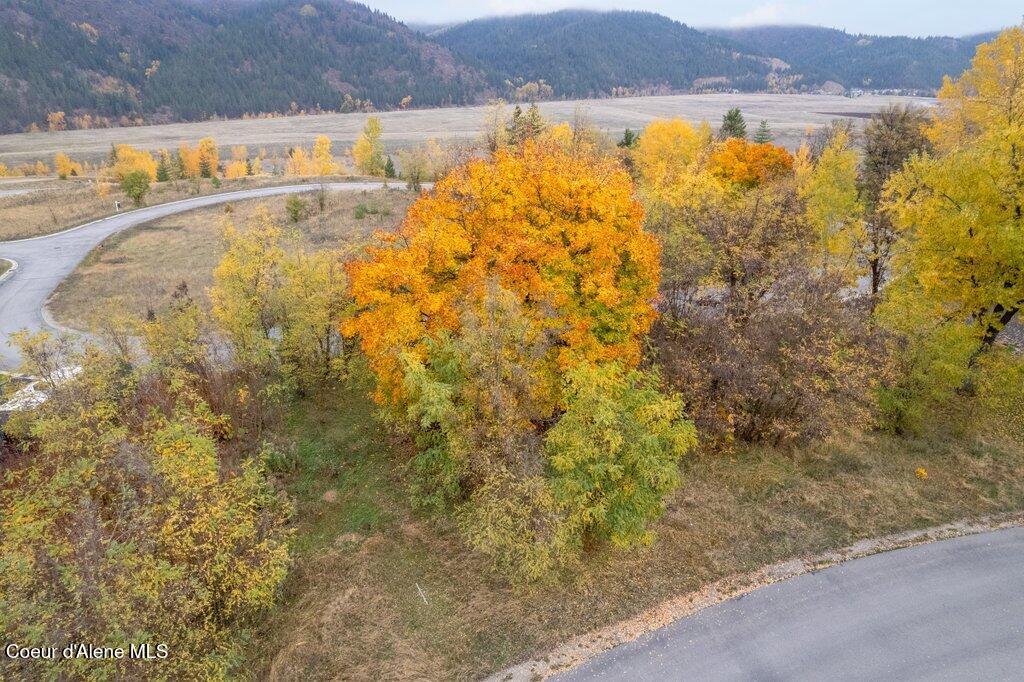 116 Prospector Loop