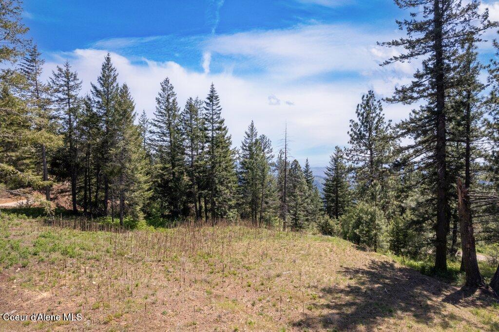 Lot 1 Block A Blossom Mountain Estates