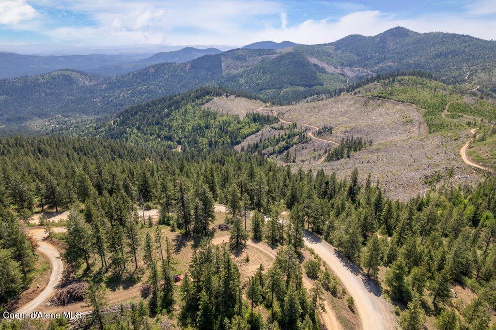 Lot 1 Block A Blossom Mountain Estates
