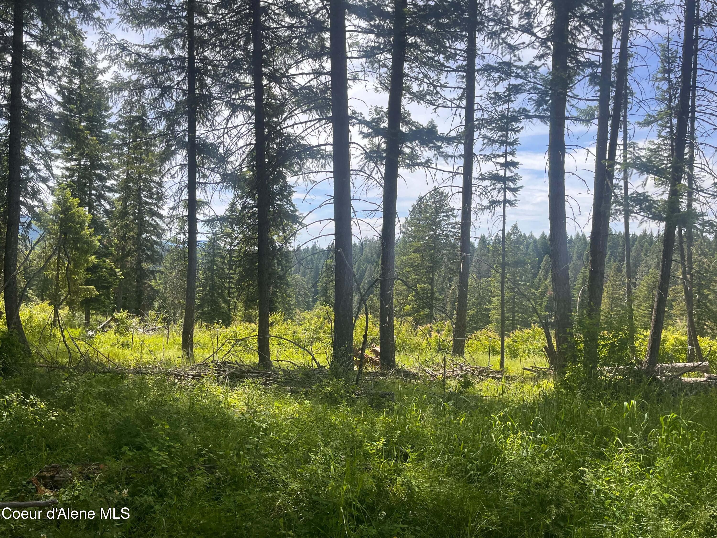 890 Pokey Creek Rd, St. Maries