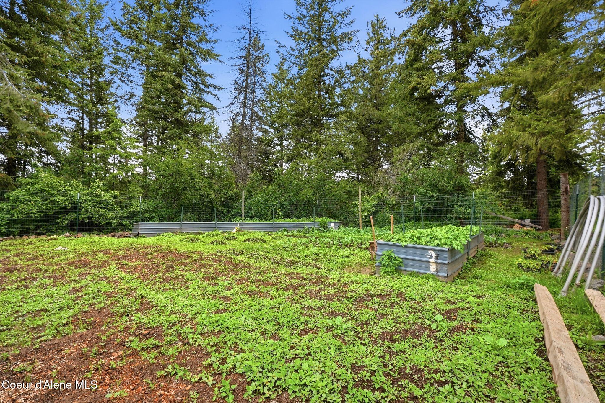 890 Pokey Creek Rd, St. Maries