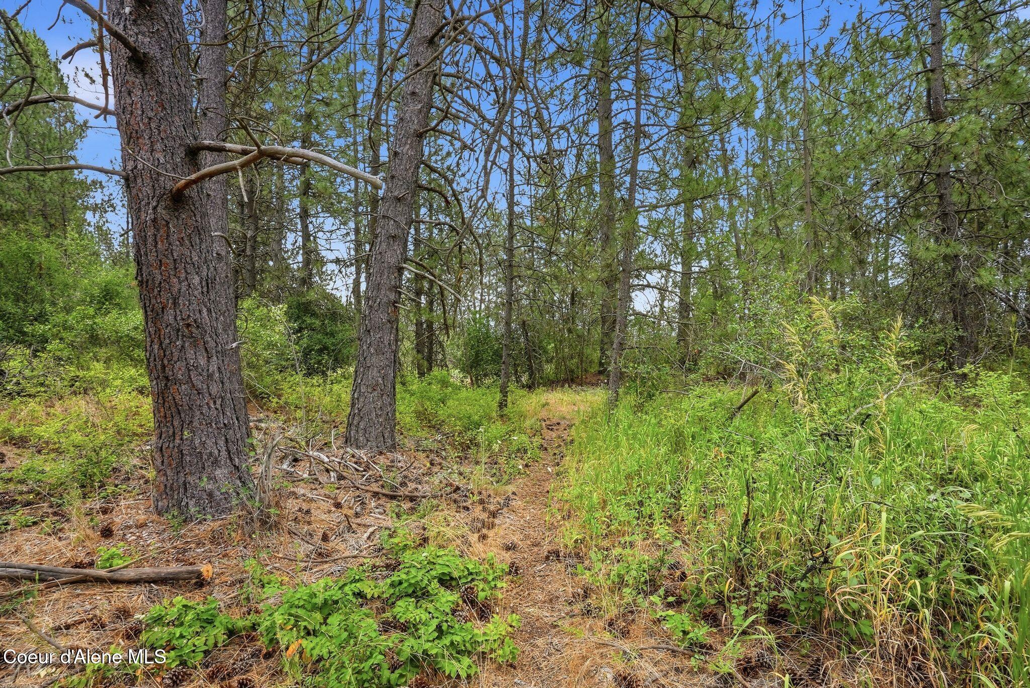 8964 N Hauser Lake RD