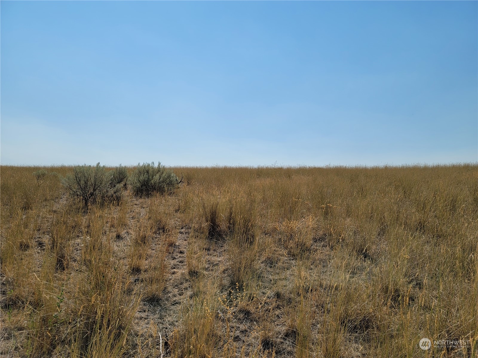 0 Lot 288 Eagle Springs Ranch