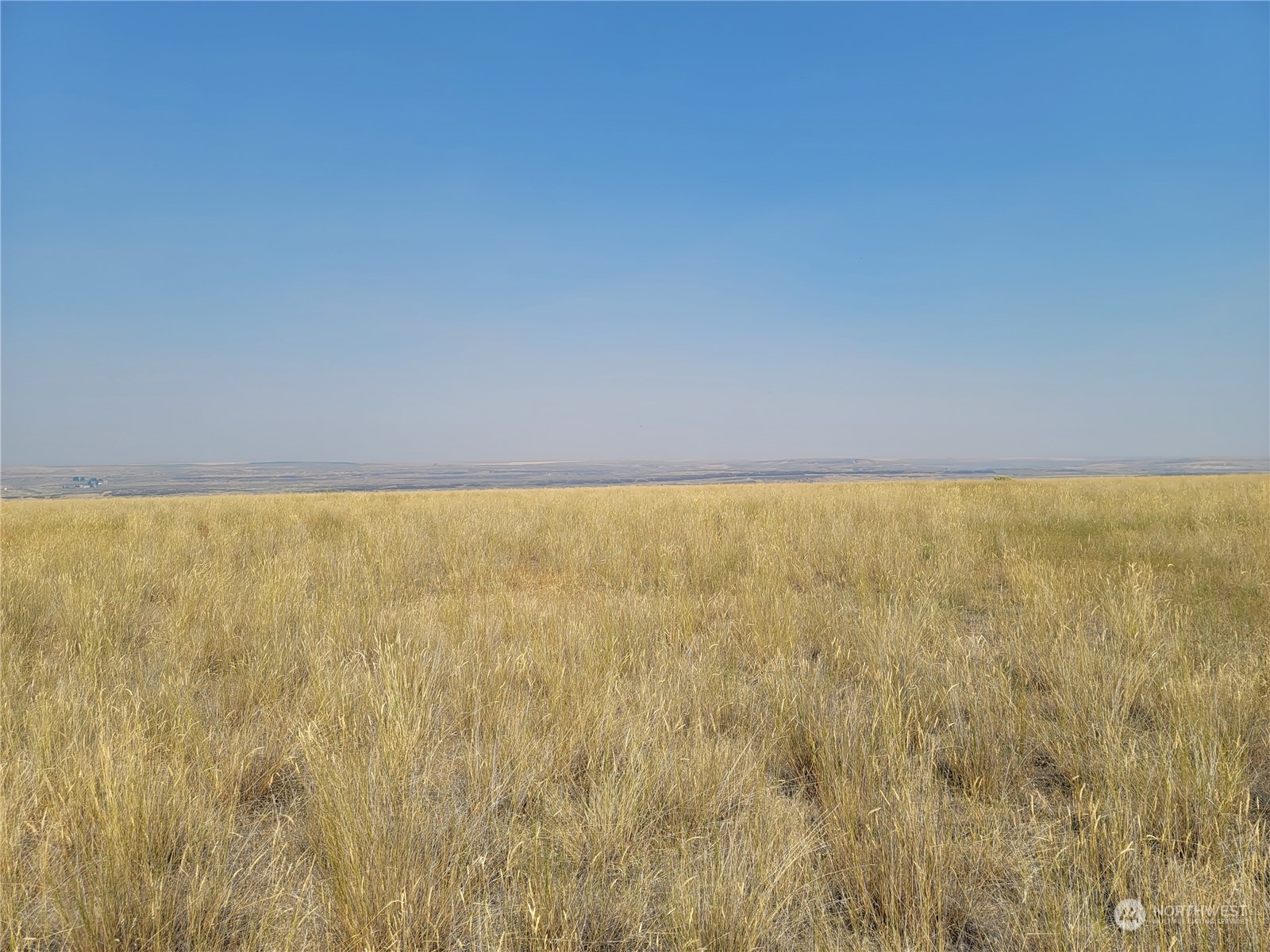 0 Lot 288 Eagle Springs Ranch