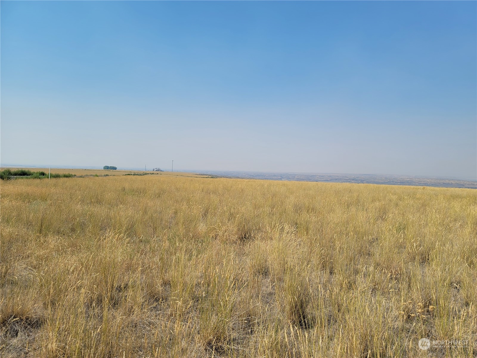 0 Lot 288 Eagle Springs Ranch