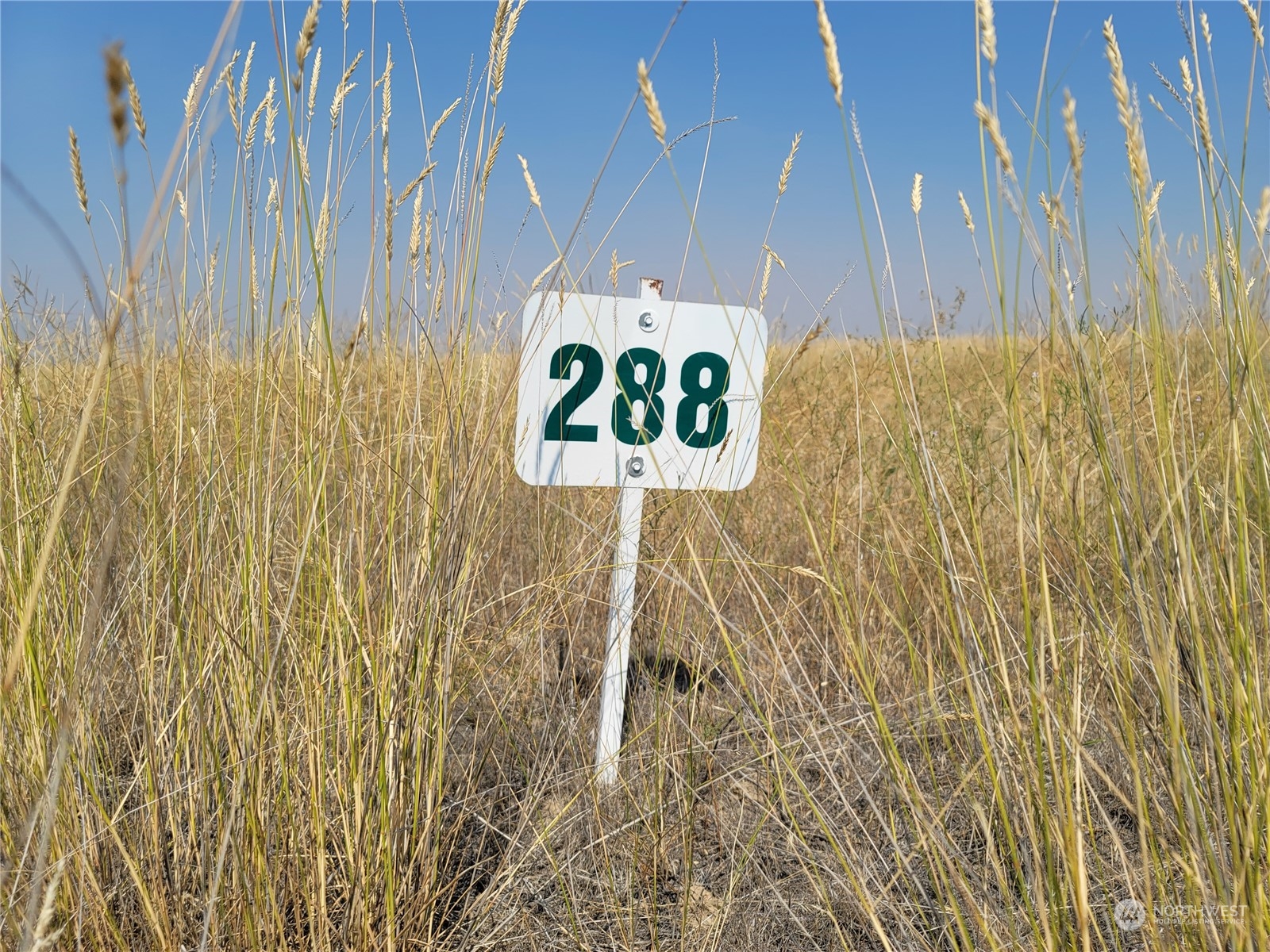 0 Lot 288 Eagle Springs Ranch