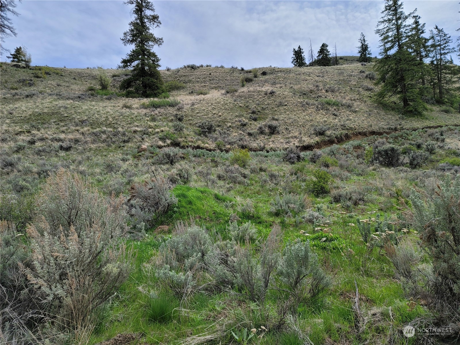 98 Tyee View Loop RD