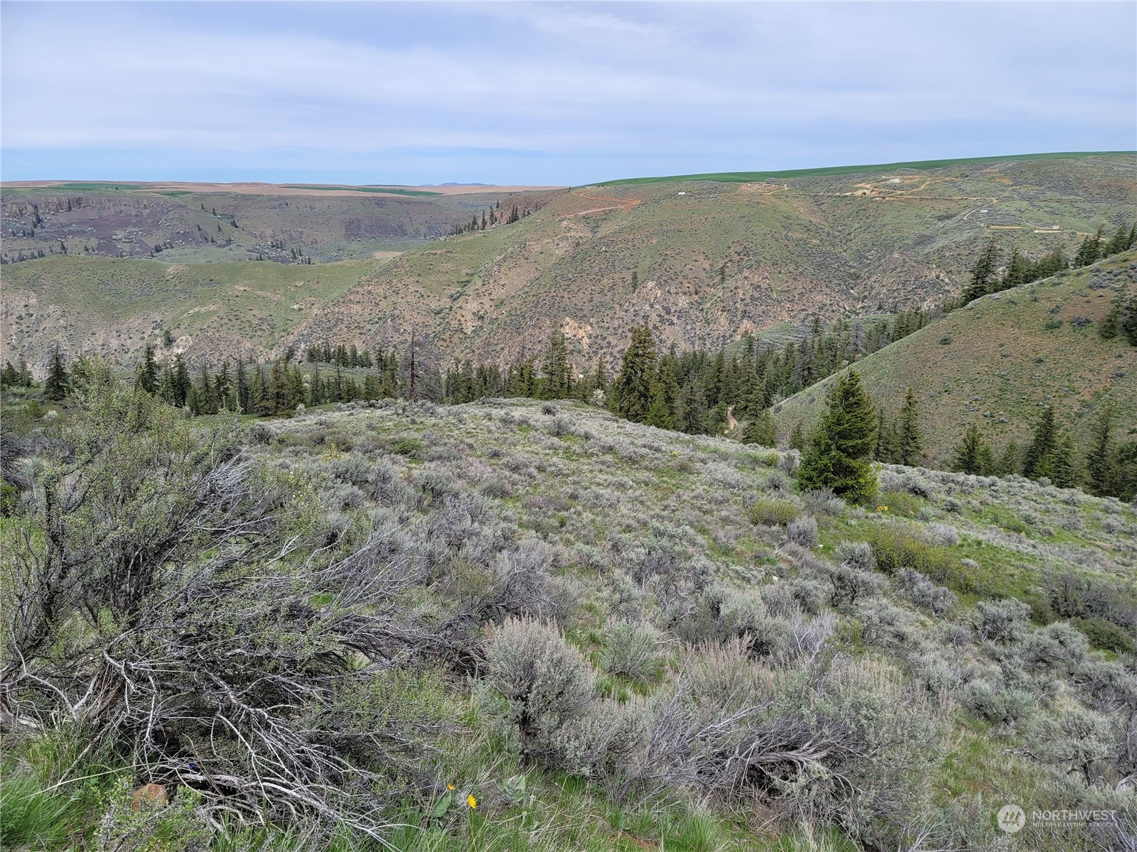 98 Tyee View Loop RD