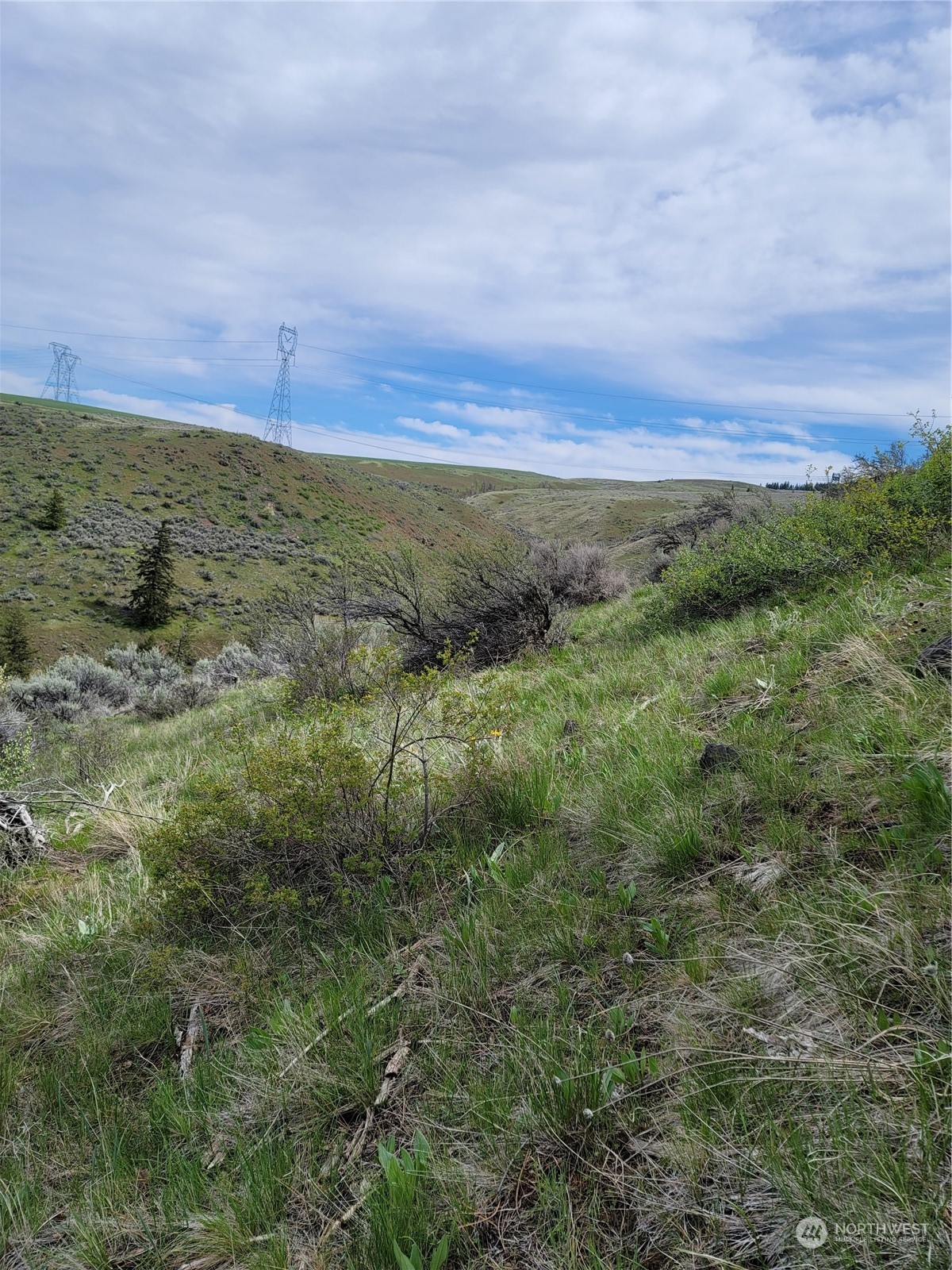 98 Tyee View Loop RD