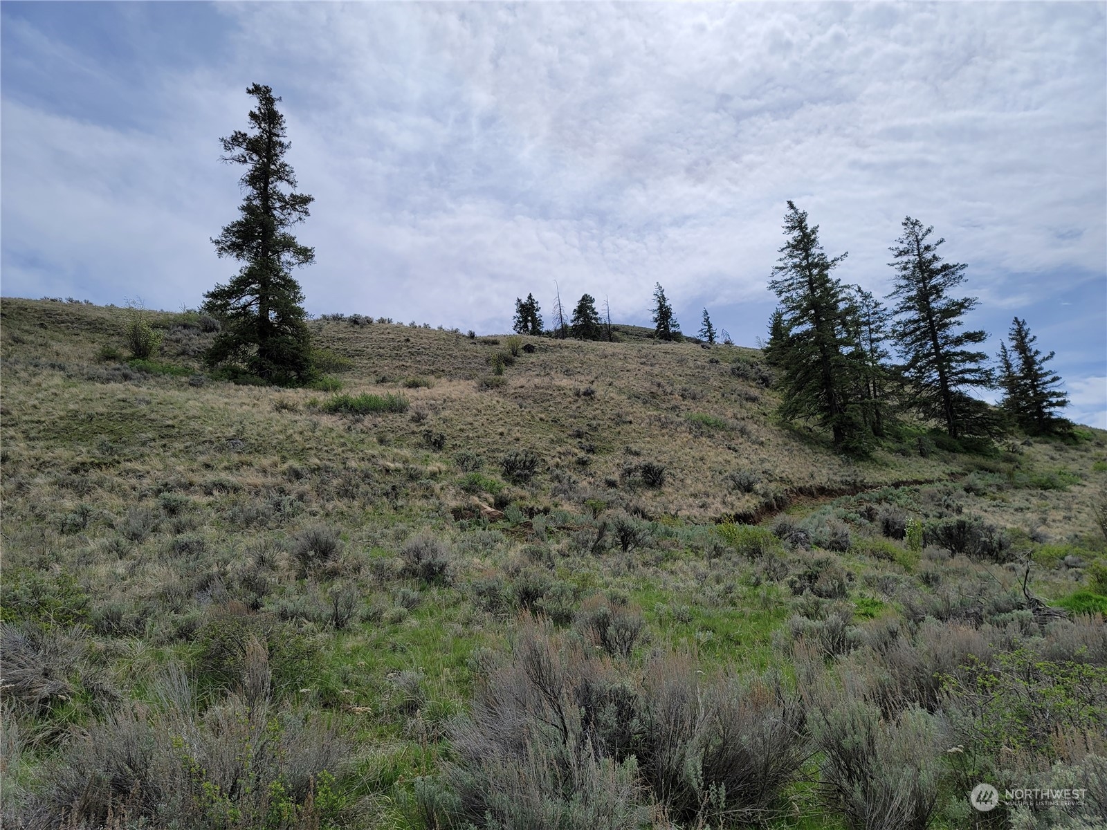 98 Tyee View Loop RD