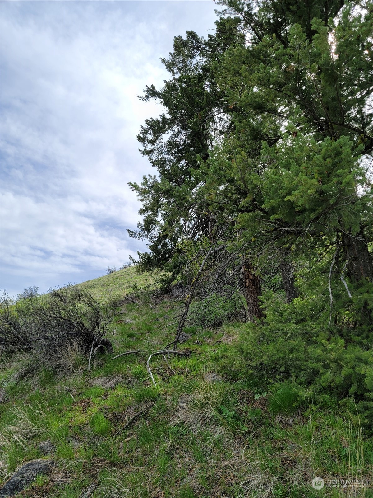 98 Tyee View Loop RD