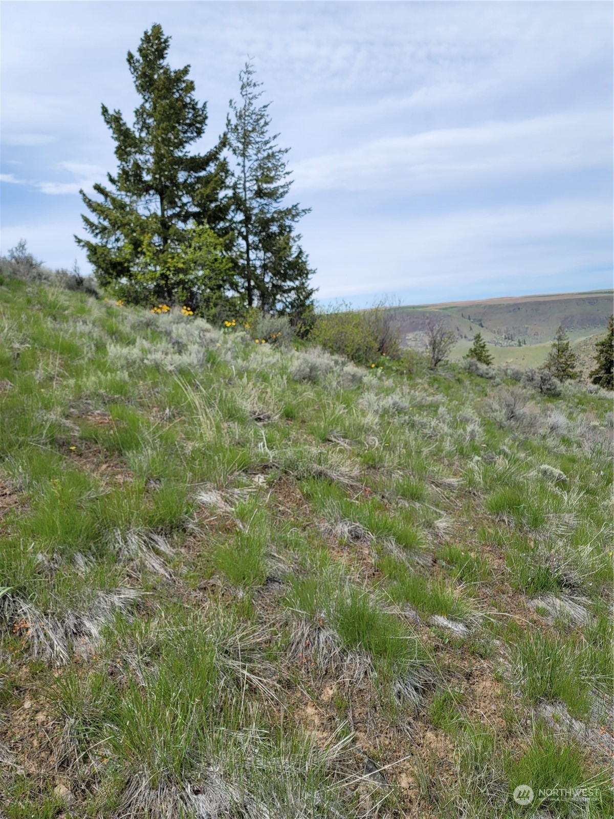 98 Tyee View Loop RD