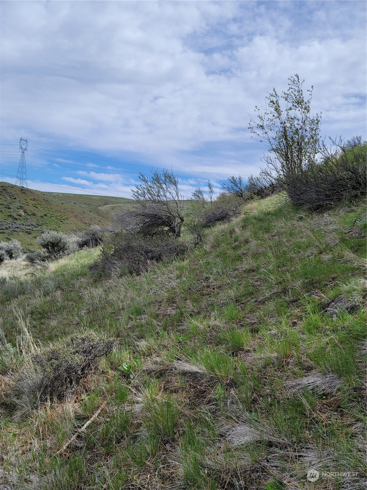 98 Tyee View Loop RD