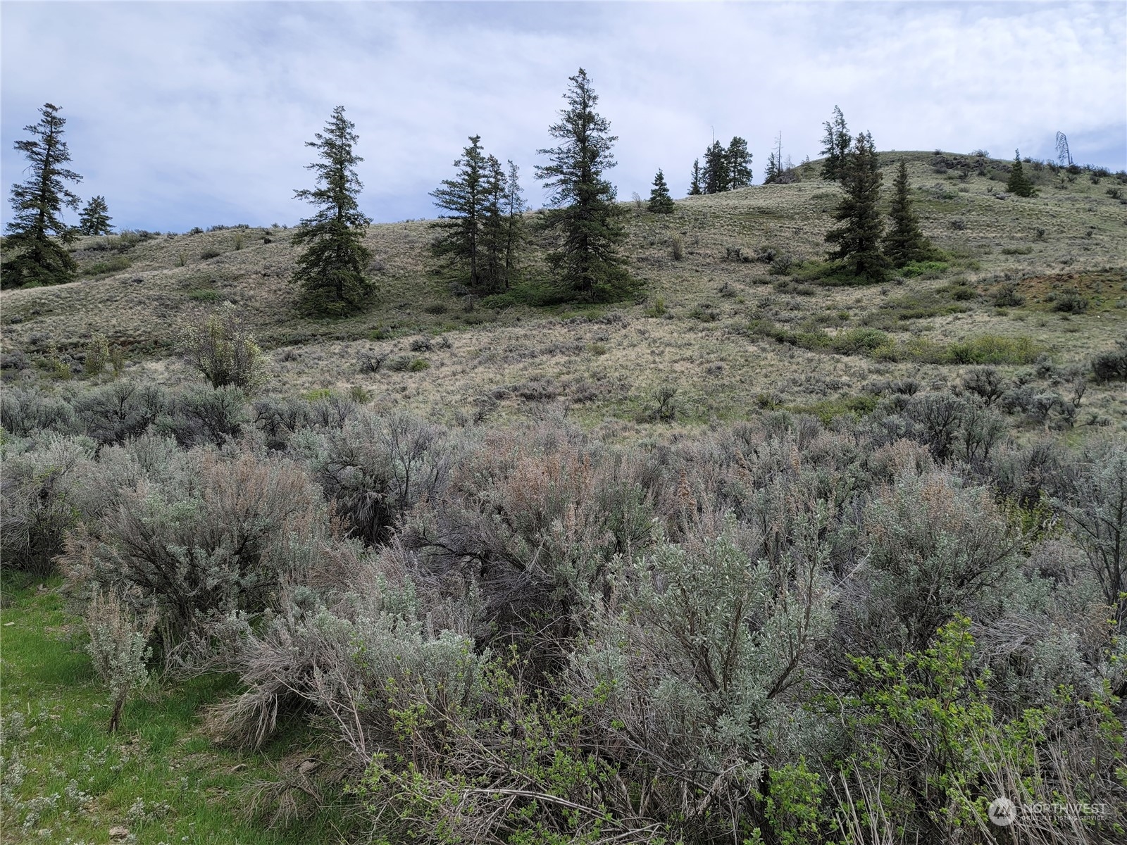 98 Tyee View Loop RD