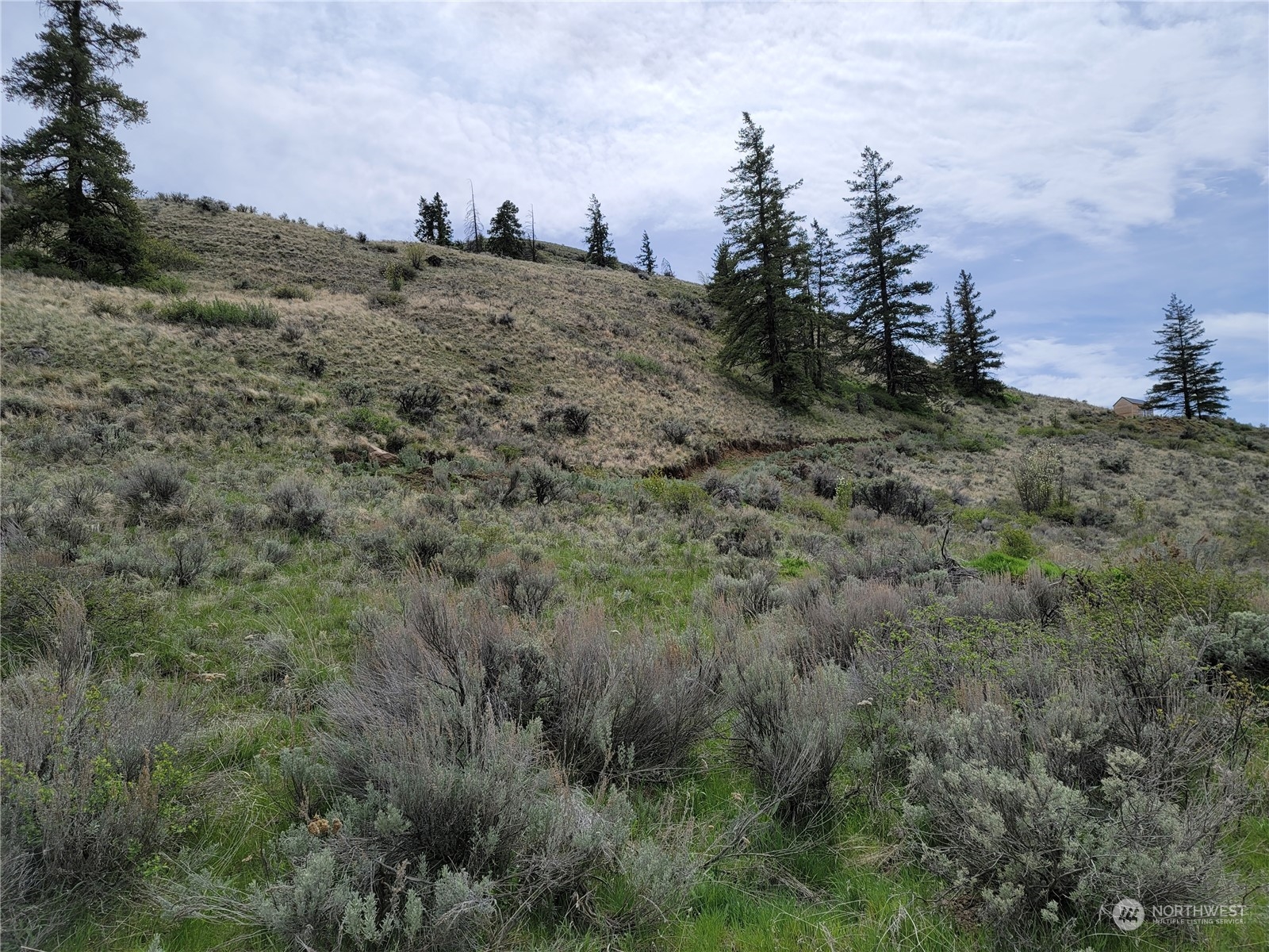 98 Tyee View Loop RD