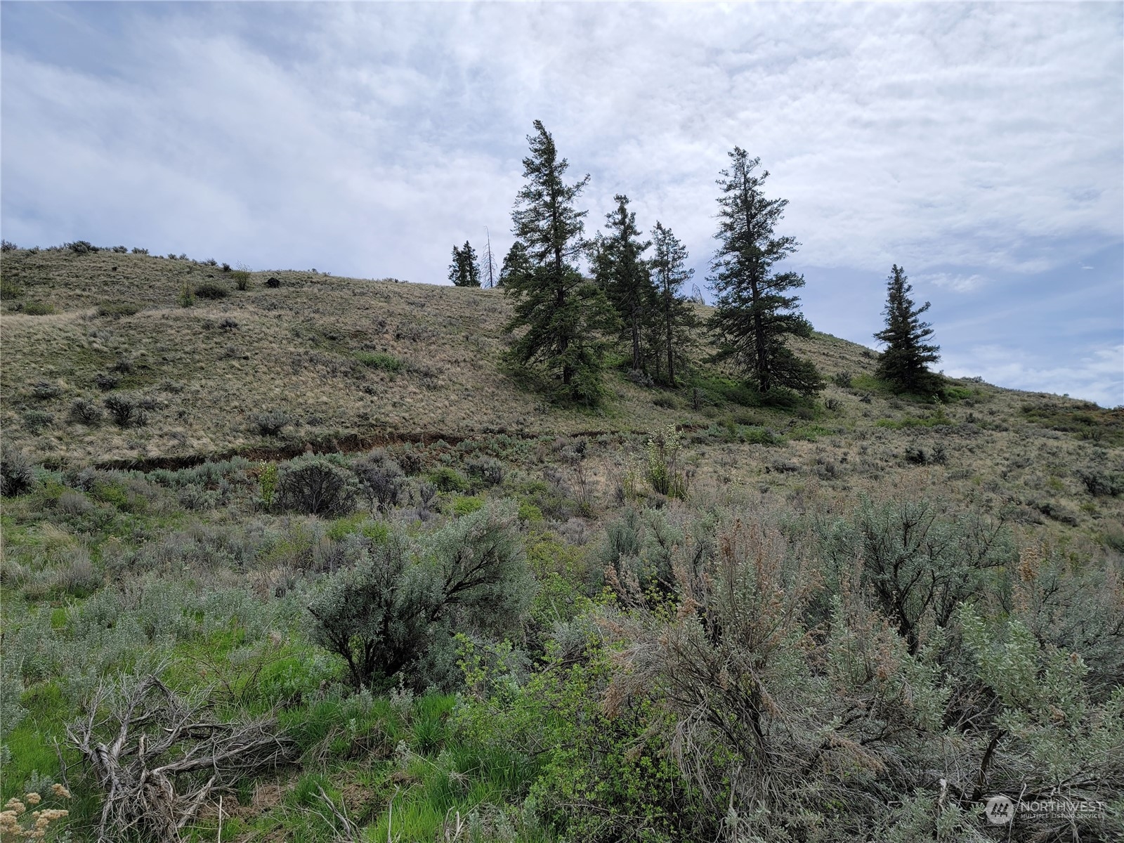 98 Tyee View Loop RD