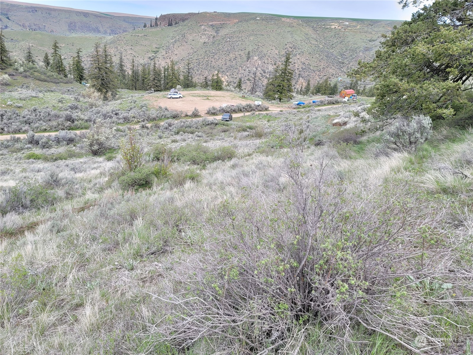 98 Tyee View Loop RD