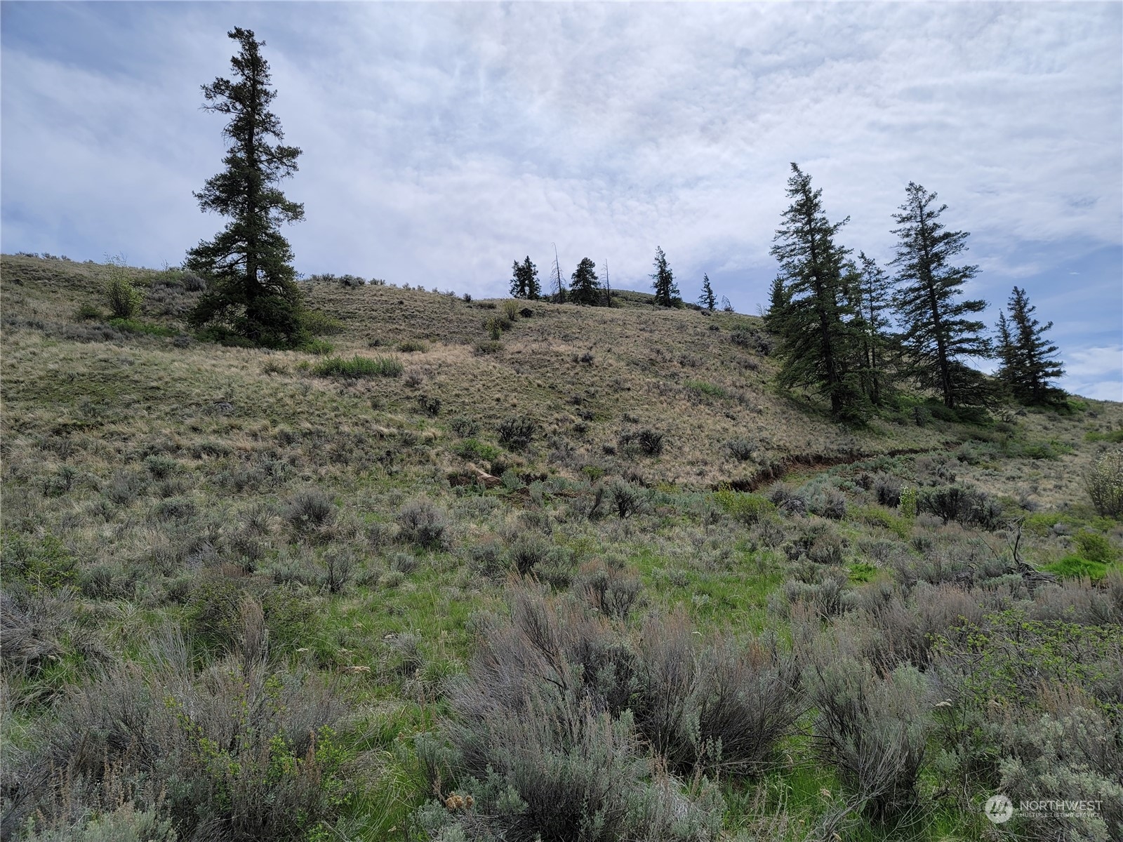 98 Tyee View Loop RD