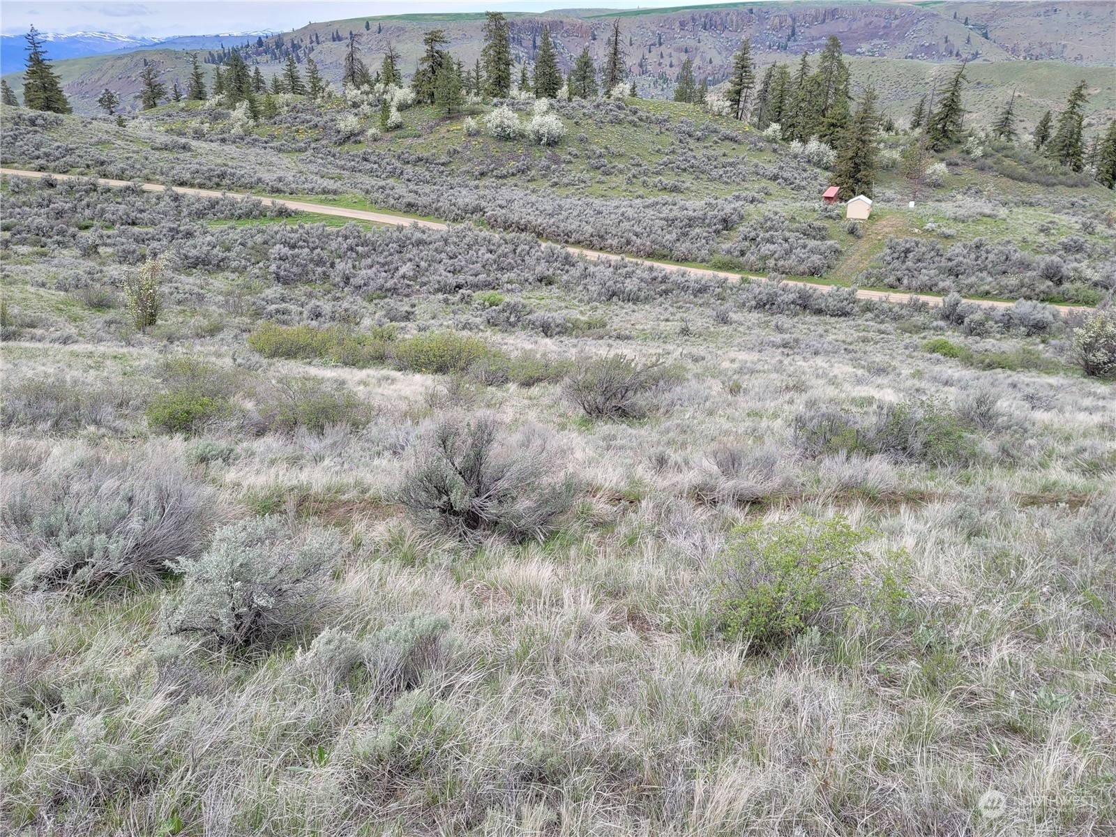 98 Tyee View Loop RD