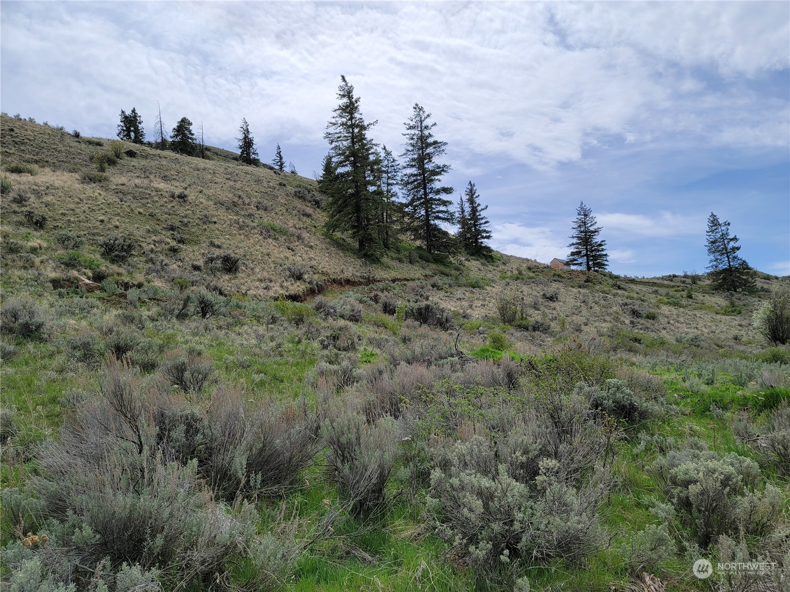 98 Tyee View Loop RD