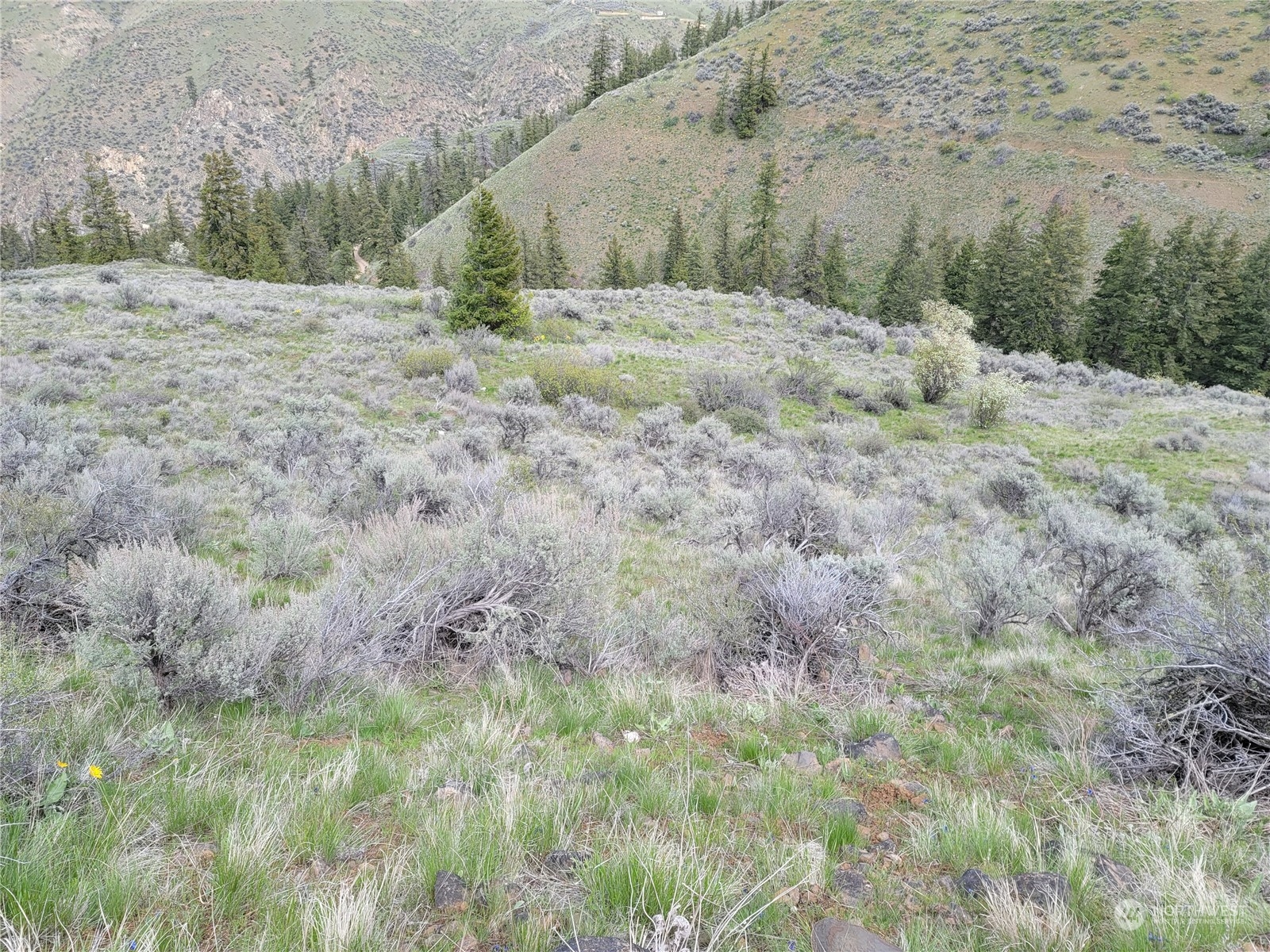 98 Tyee View Loop RD