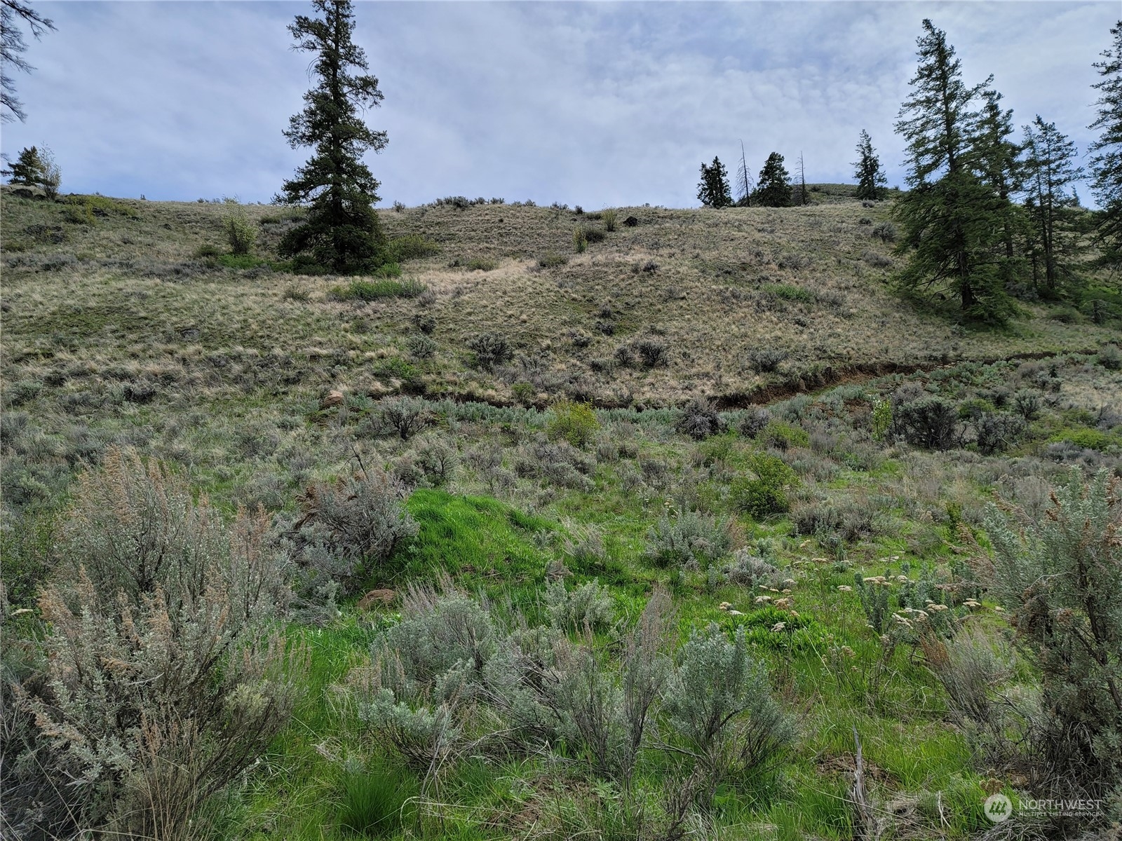 98 Tyee View Loop RD