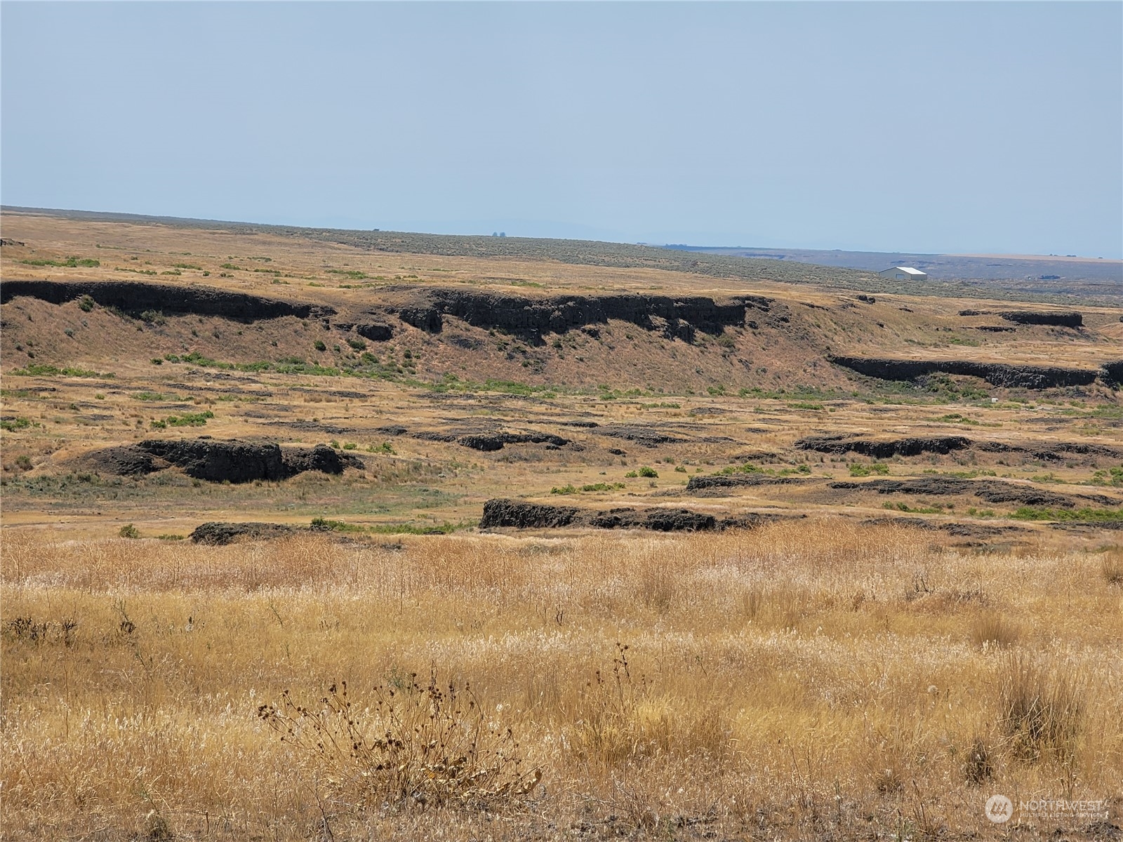 Open, dry grassland lot with dark rocky outcrops and a small distant building.