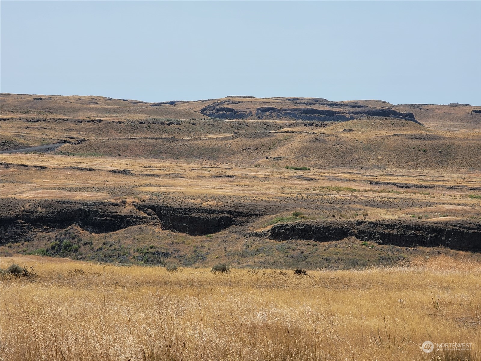 Vacant rural lot with golden grass, rolling hills, and a rocky ravine.