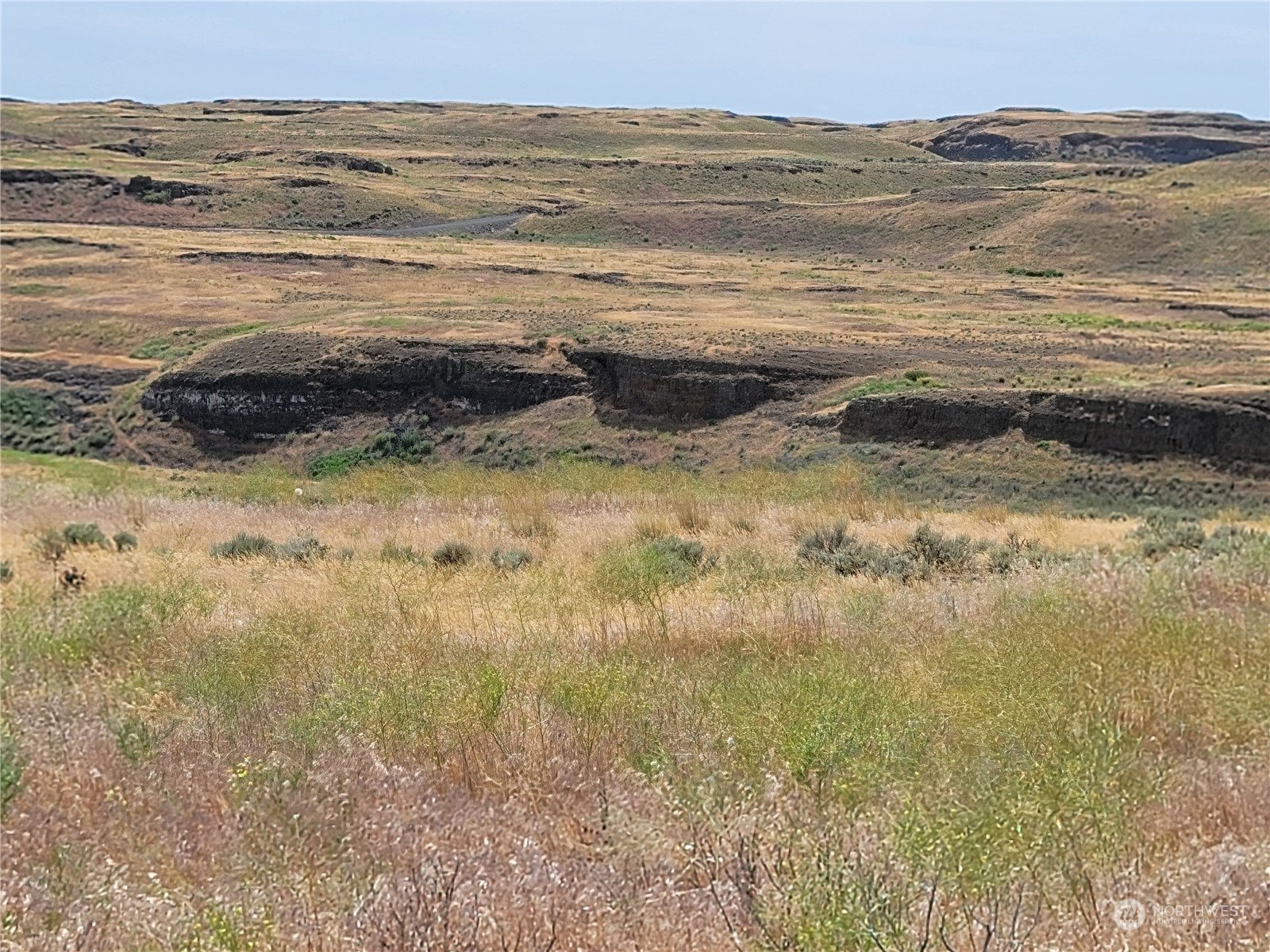 Open grassland with rolling hills and dark rocky ledges.