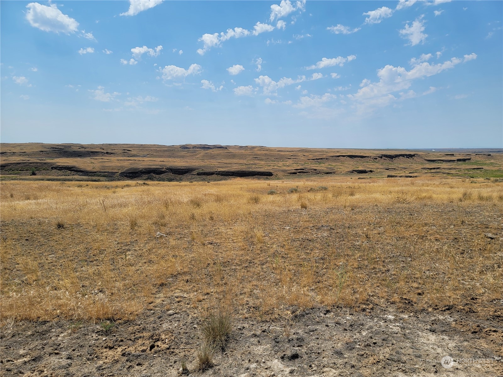 Vacant lot with dry golden grass, rocky soil, and low rolling terrain beneath a partly cloudy sky.