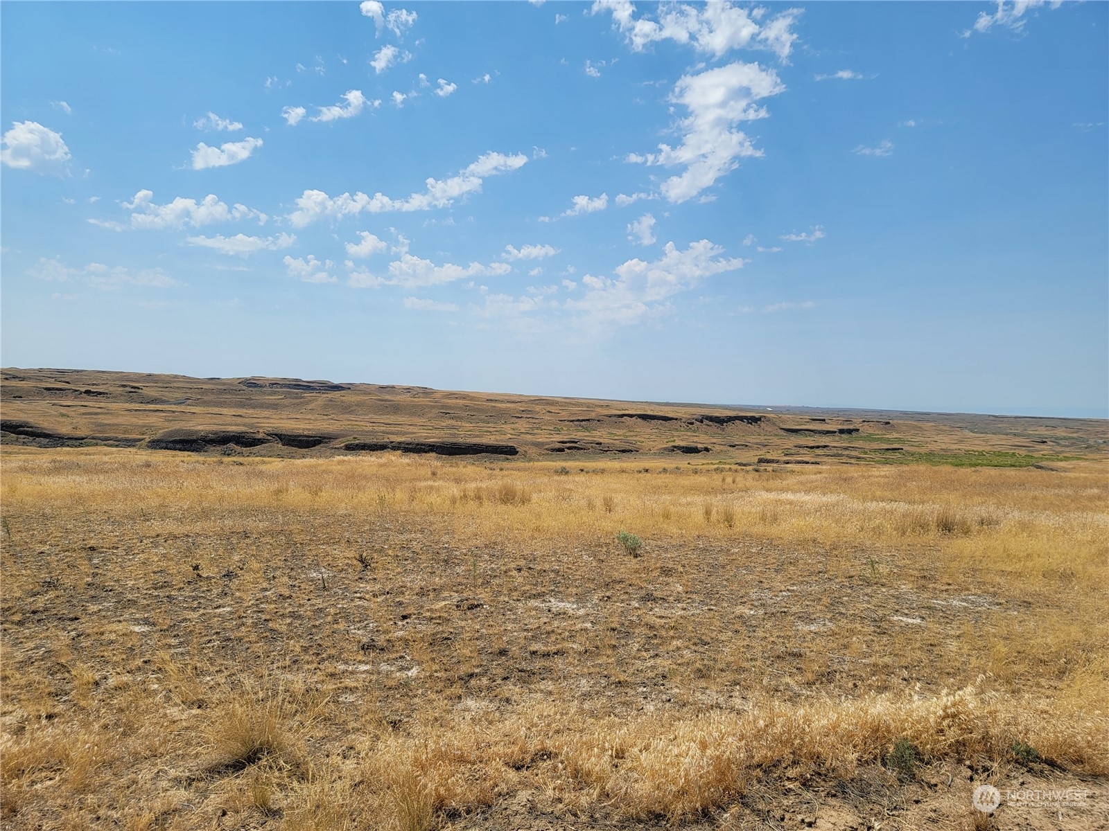 Open, dry grassland stretches across rolling terrain beneath a blue, cloud-dotted sky.