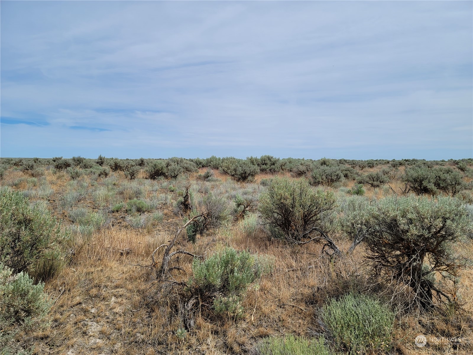 Undeveloped lot with sagebrush and dry grasses beneath a broad, cloudy sky.