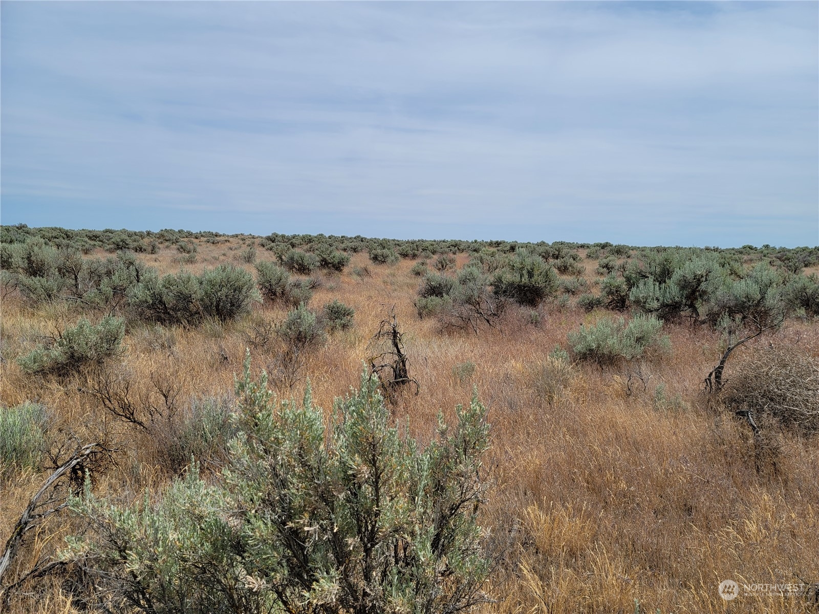 Undeveloped lot with sagebrush and dry grasses stretching to the horizon beneath a blue sky.