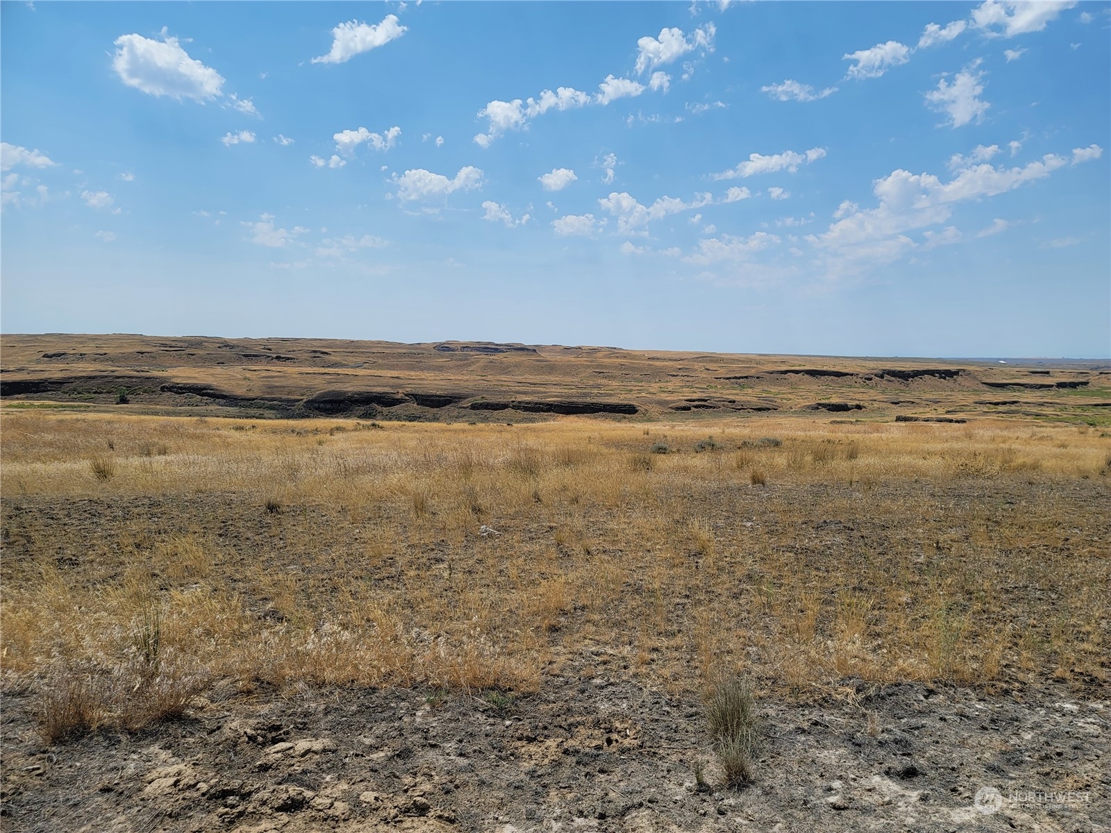 Open grassland lot with rocky foreground and gently rolling terrain beneath a cloud-dotted blue sky.