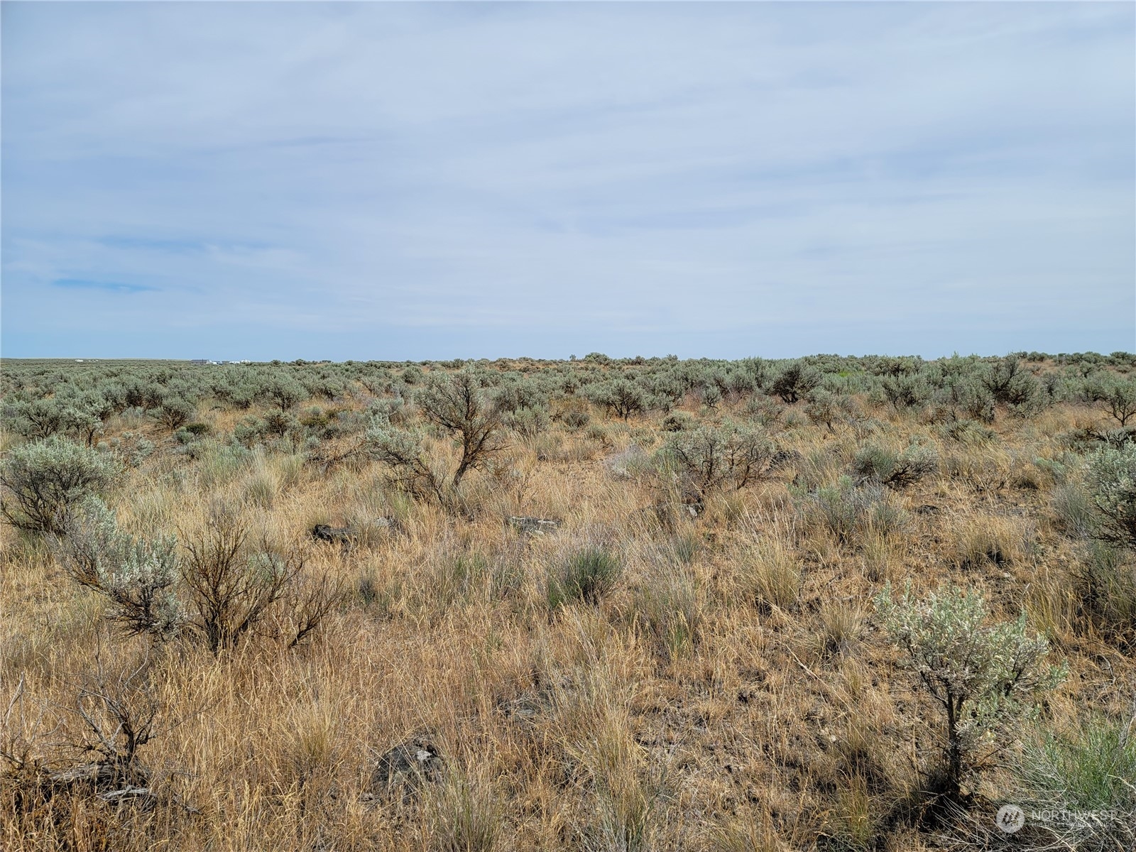 Open lot with dry grasses and sagebrush beneath a wide blue sky.