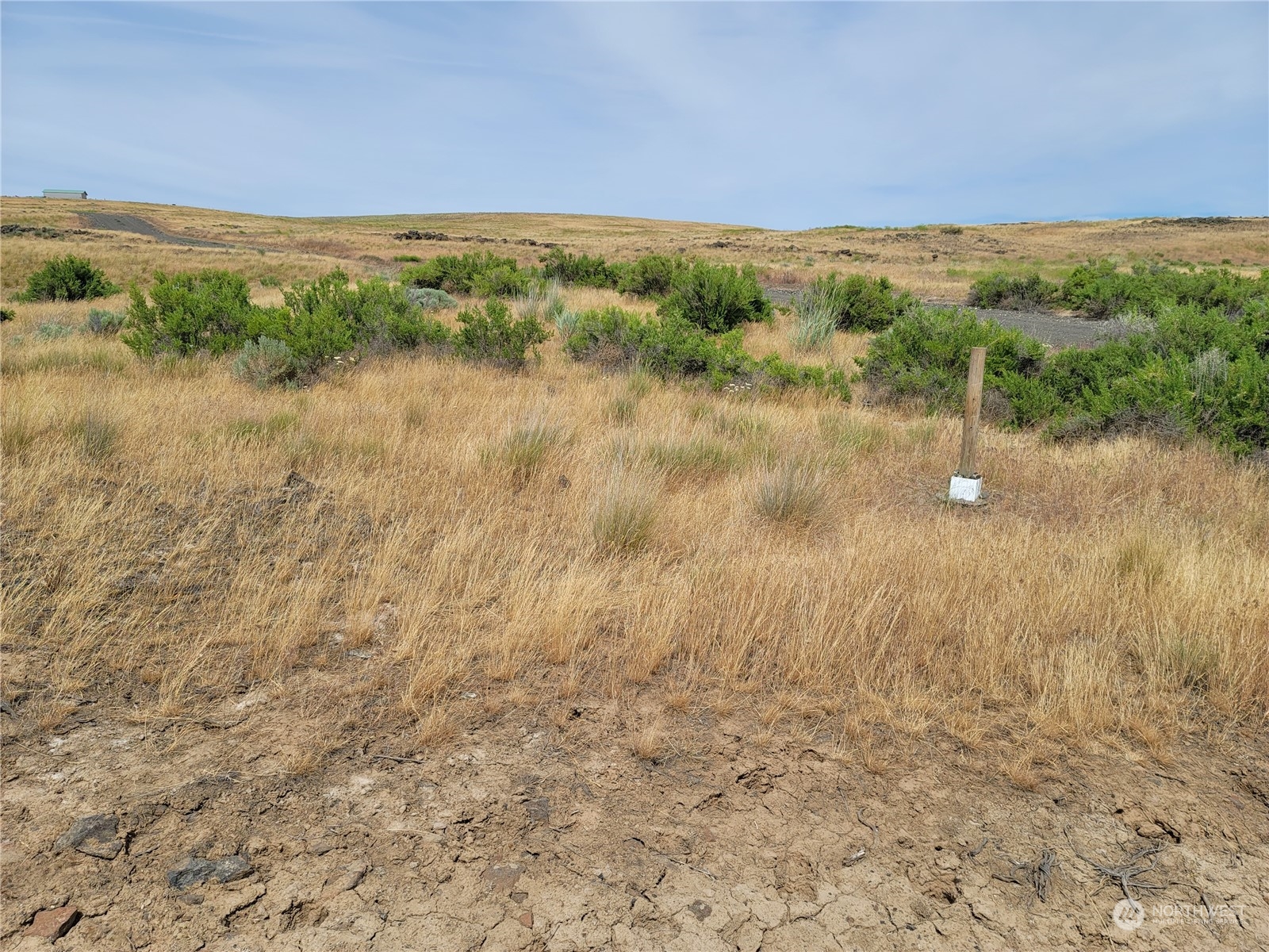 Rural vacant lot with dry grass, scattered shrubs, rocky soil, and a wooden survey stake.