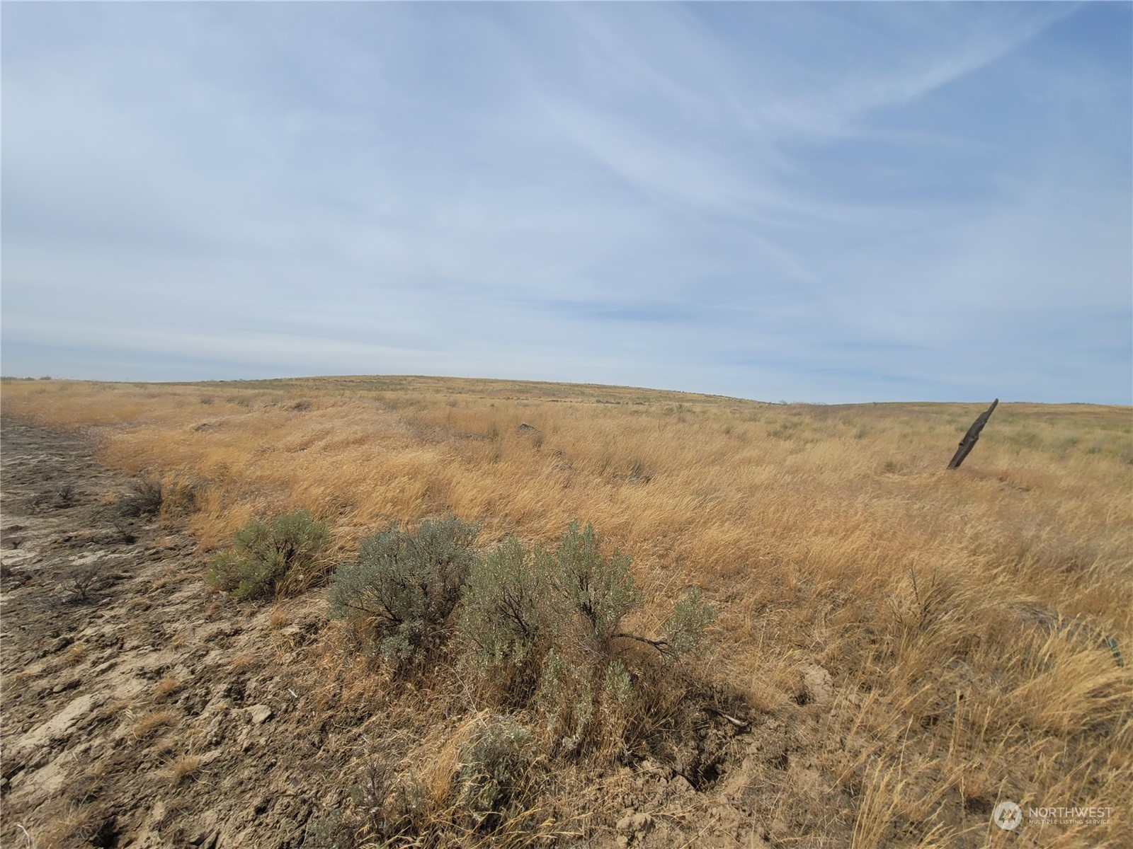Open grassy acreage with sagebrush, rocky ground, and gently rolling terrain.