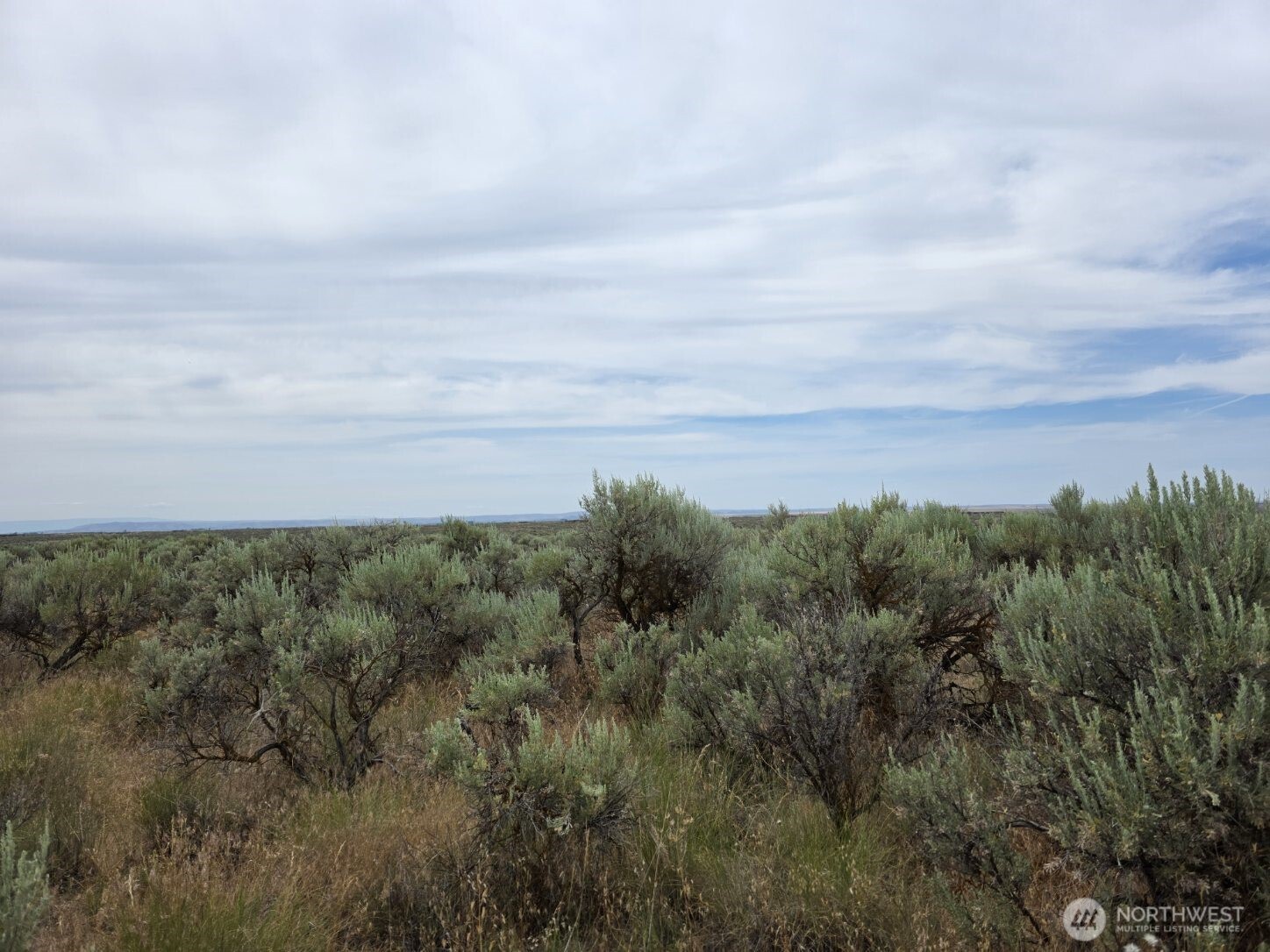 0 Lot 116 Eagle Springs Ranch