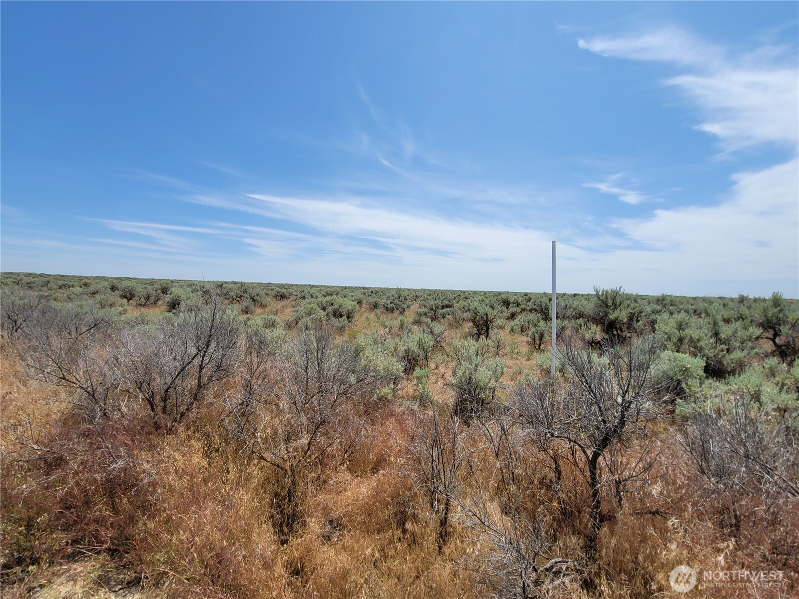 0 Lot 116 Eagle Springs Ranch