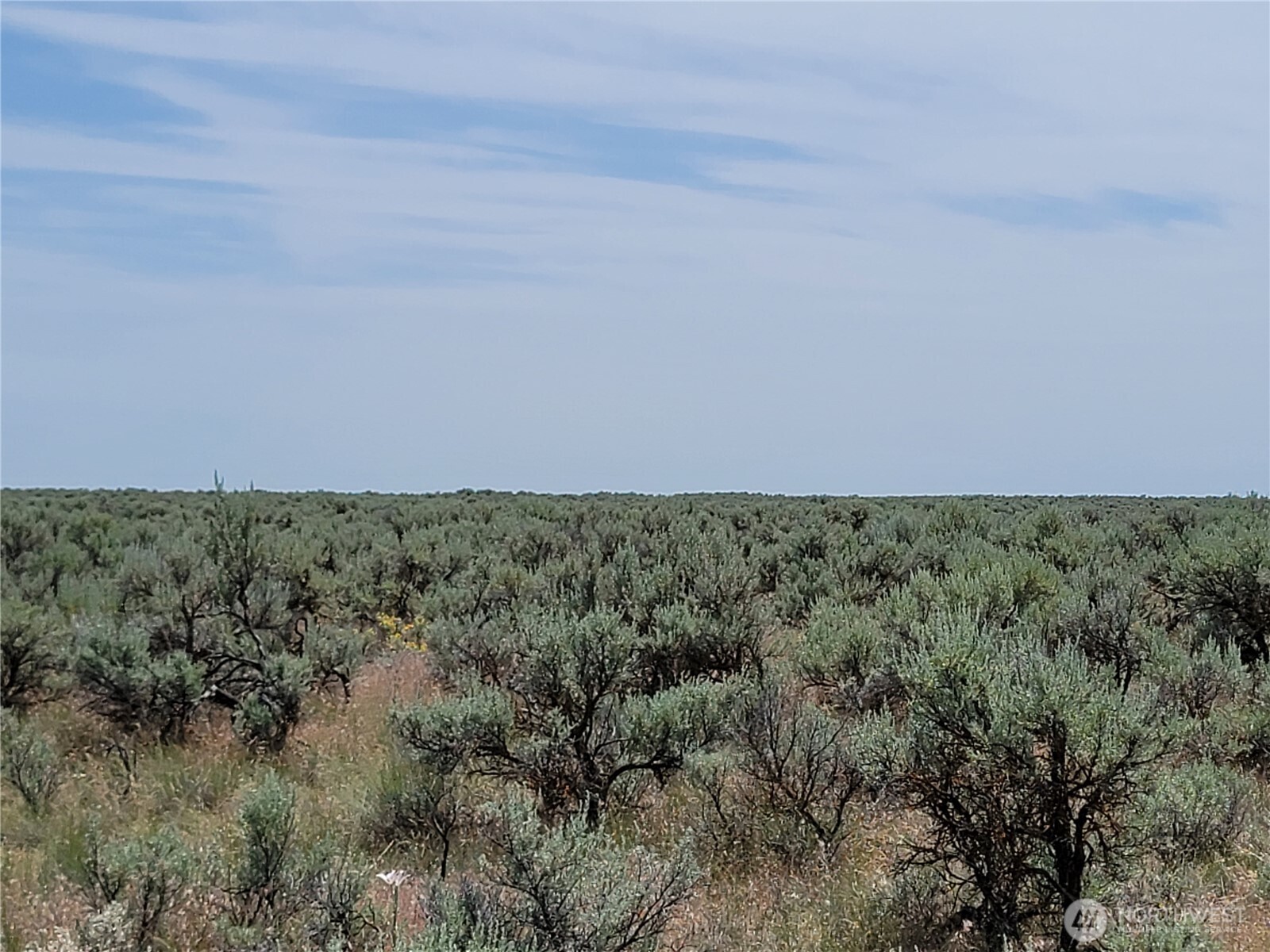 0 Lot 116 Eagle Springs Ranch