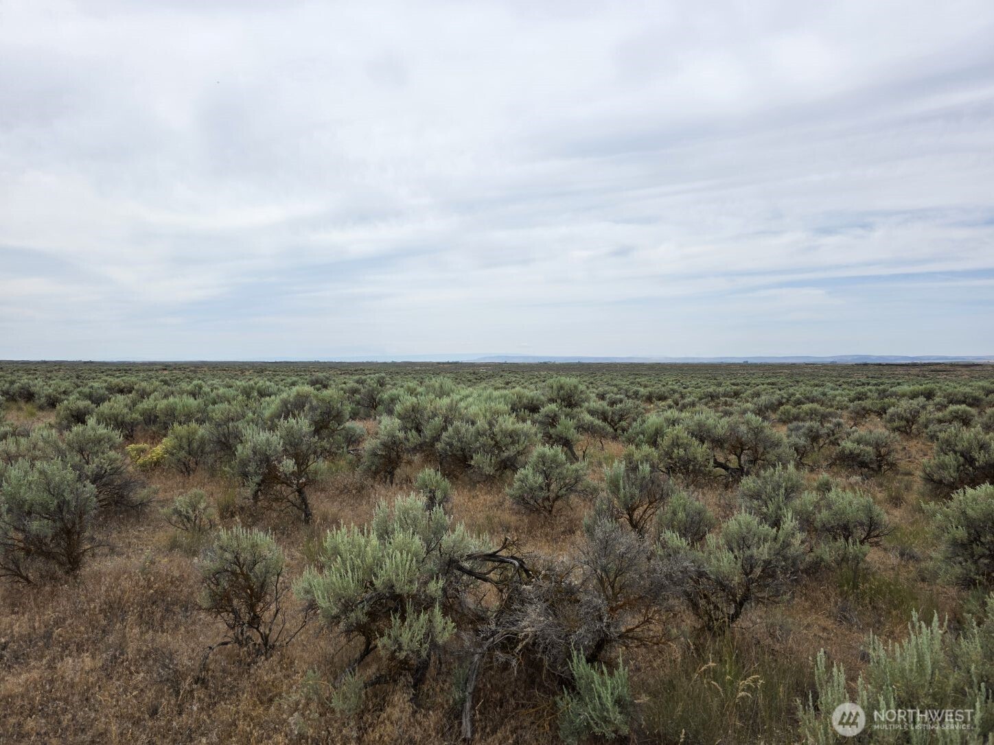 0 Lot 116 Eagle Springs Ranch